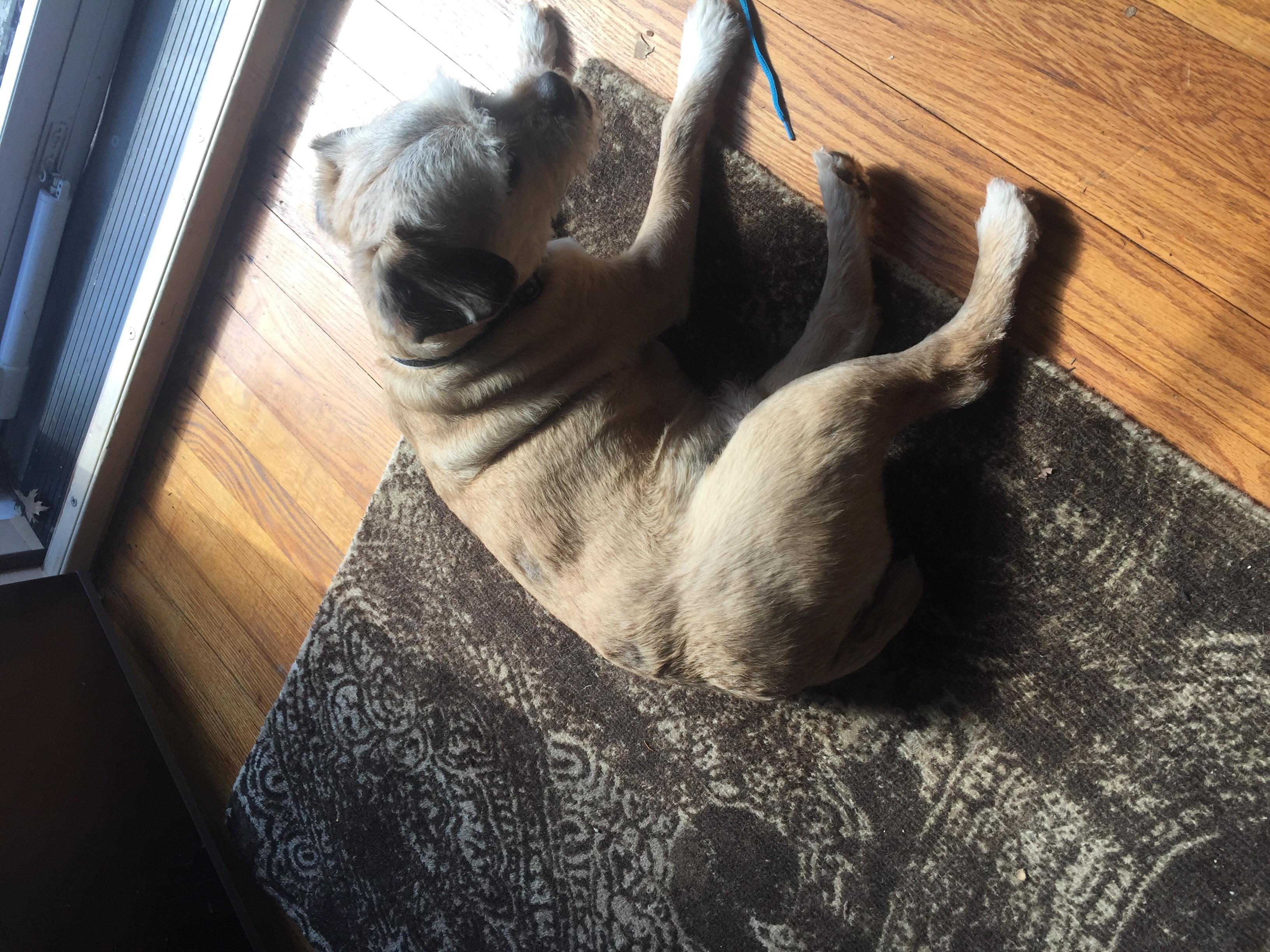 Question details sensitive content