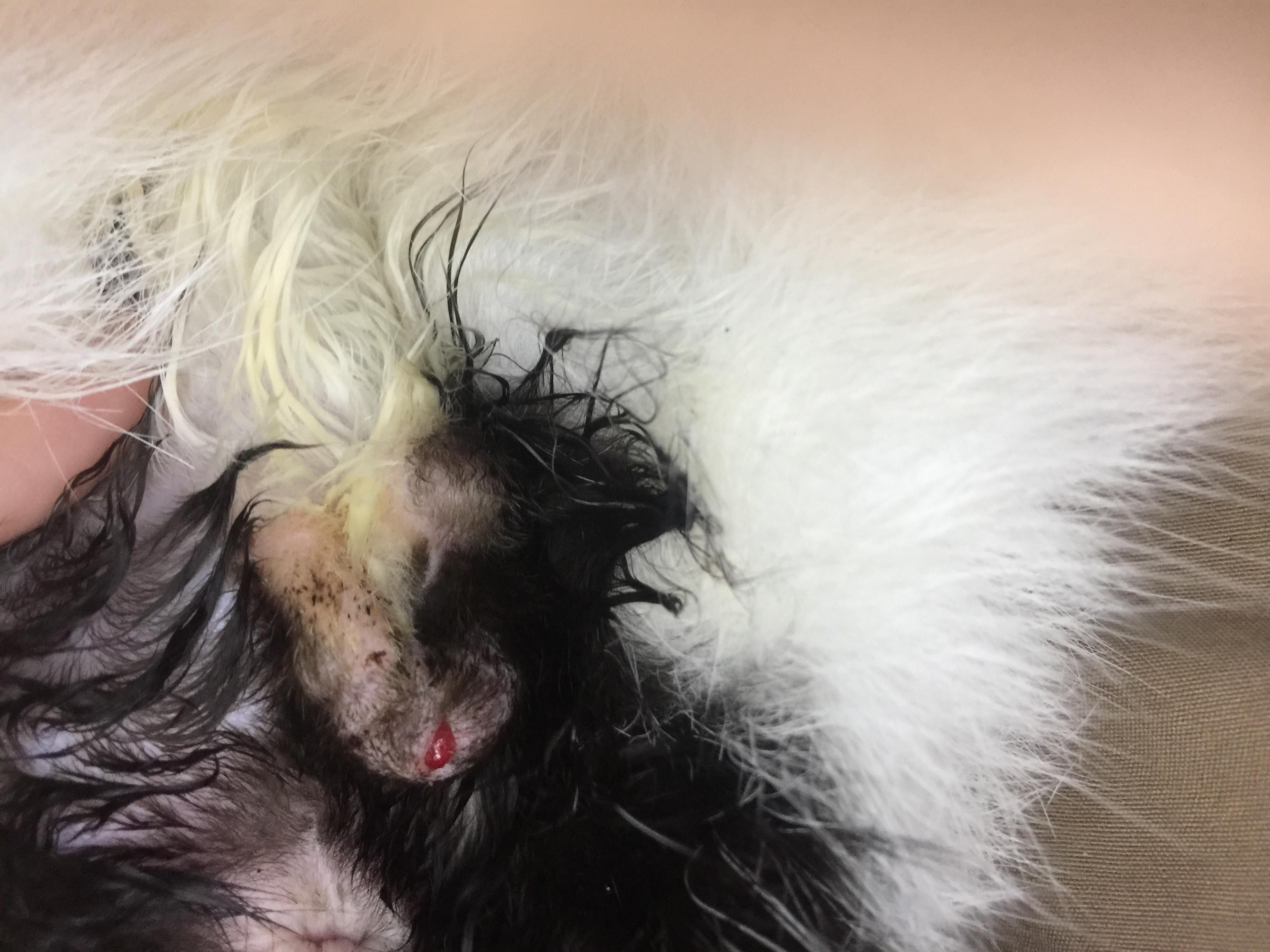 Question details sensitive content