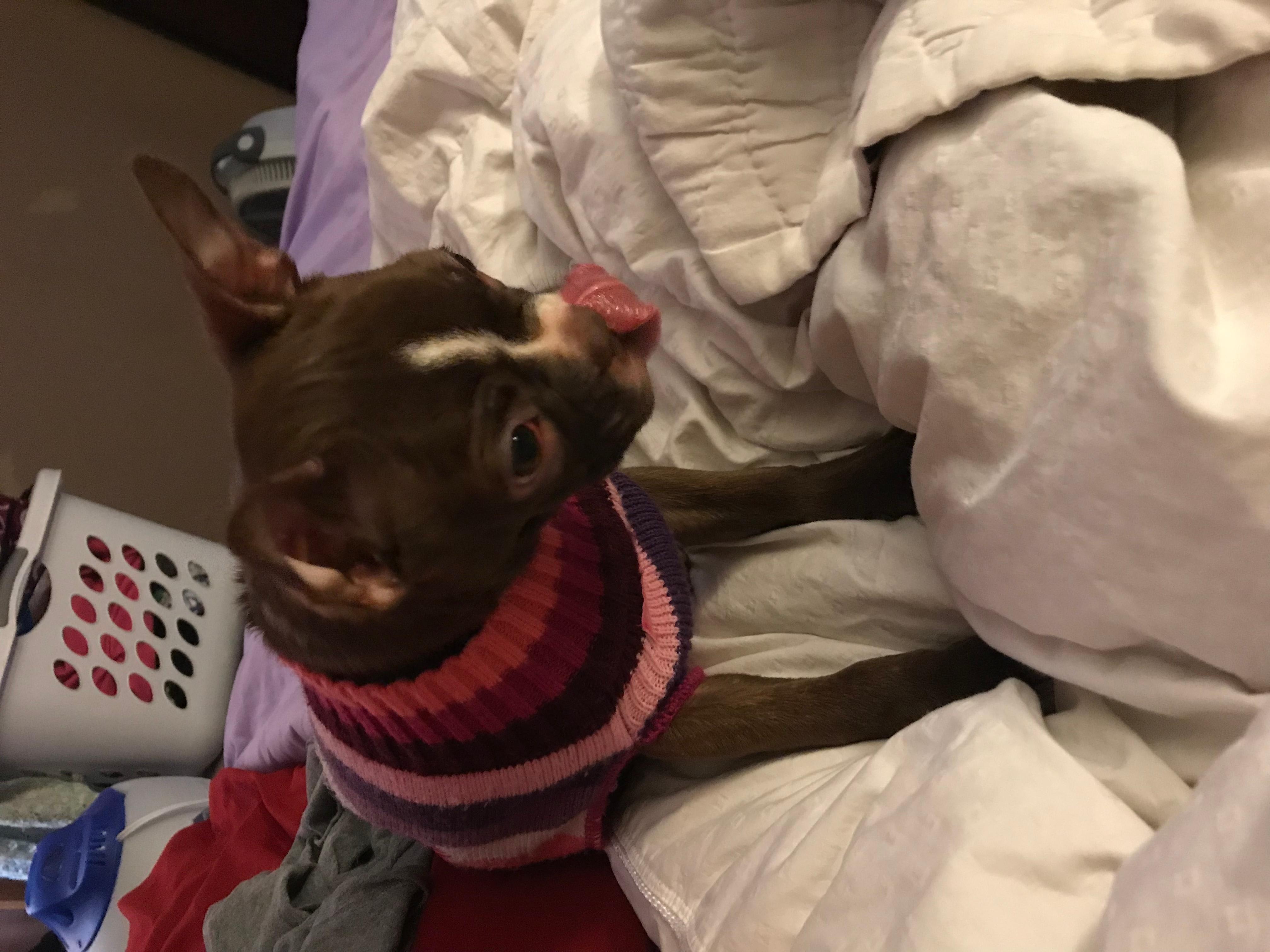 Question details sensitive content