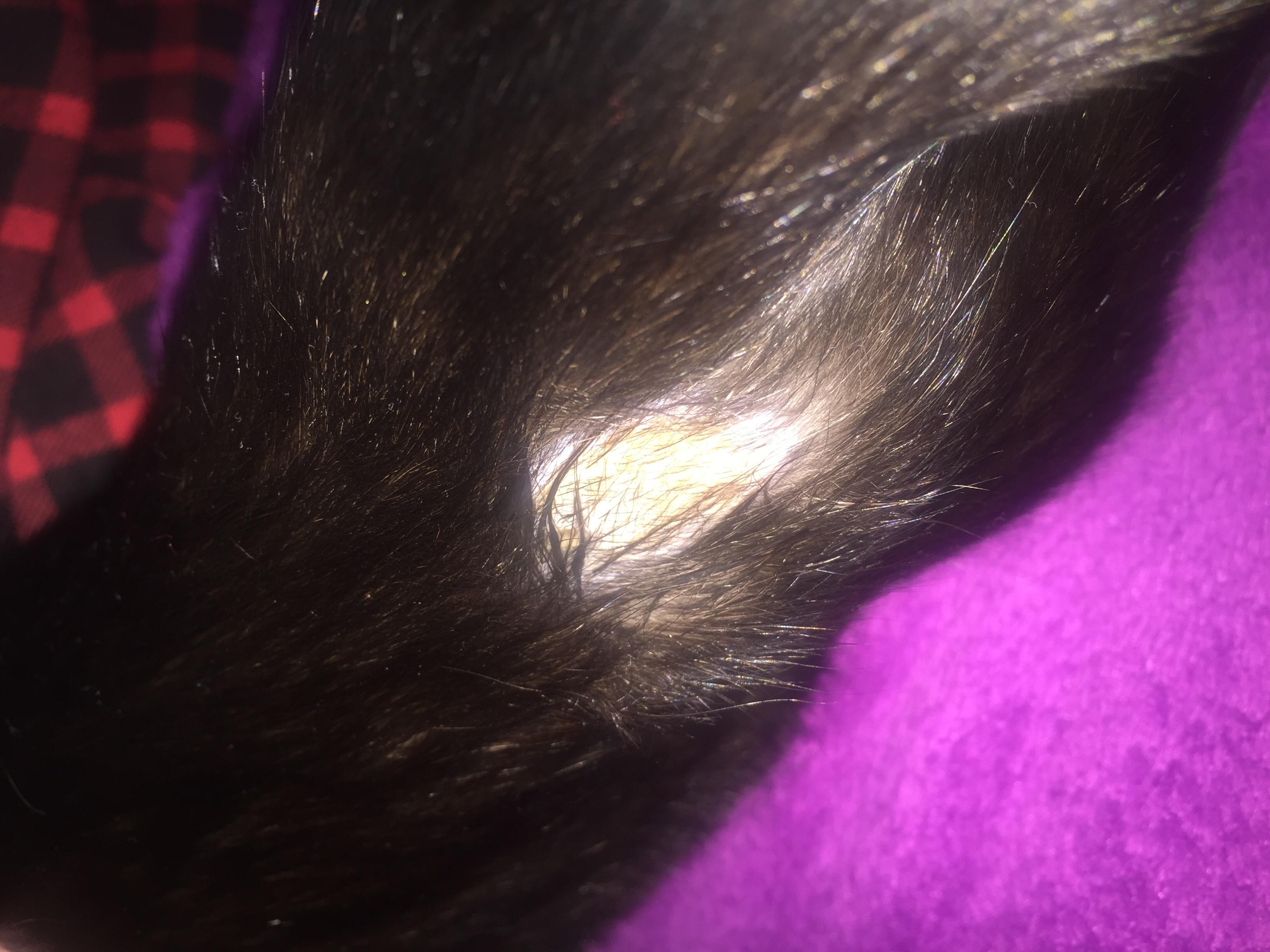 Question details sensitive content