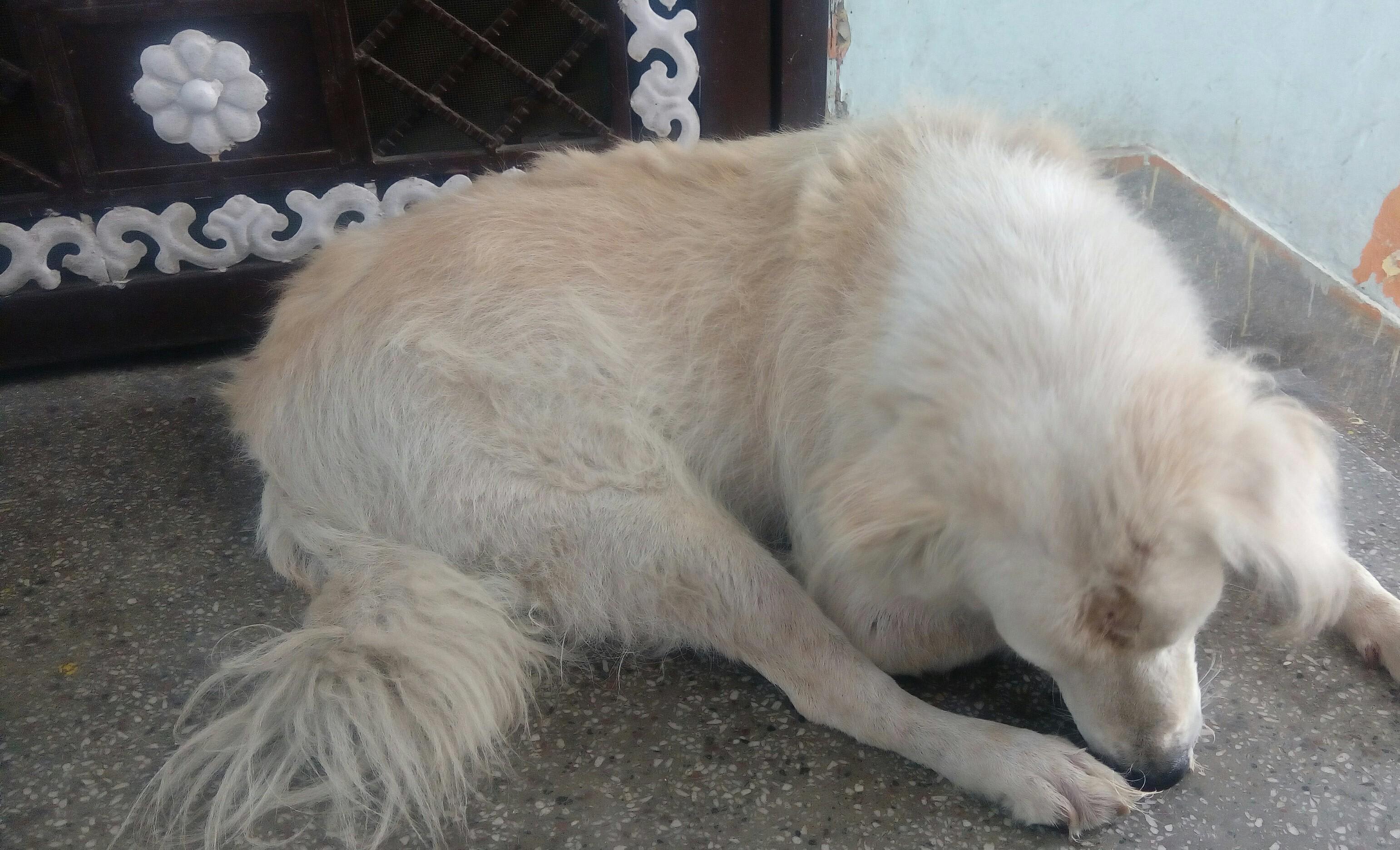 Question details sensitive content