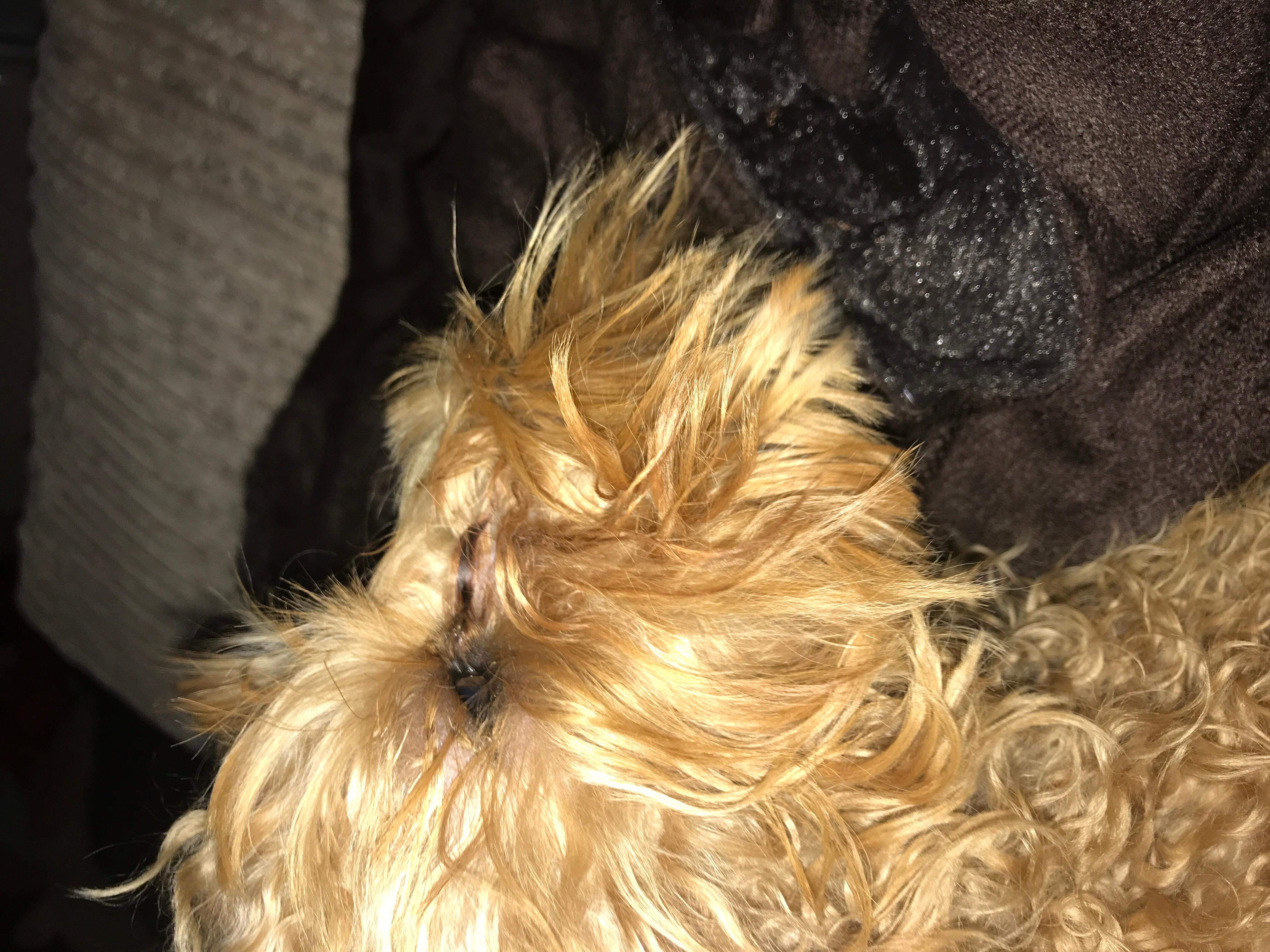 Question details sensitive content