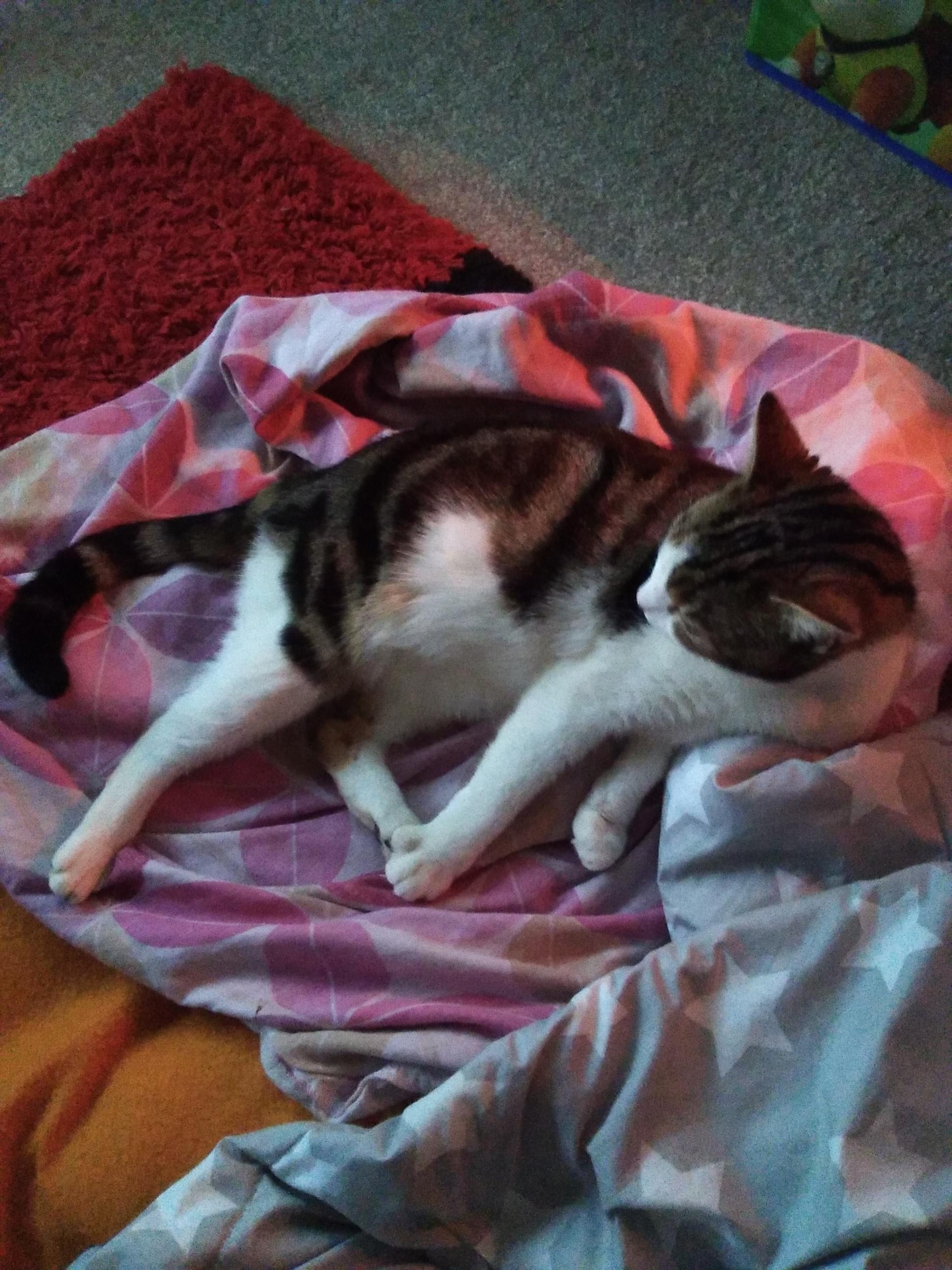 Question details sensitive content