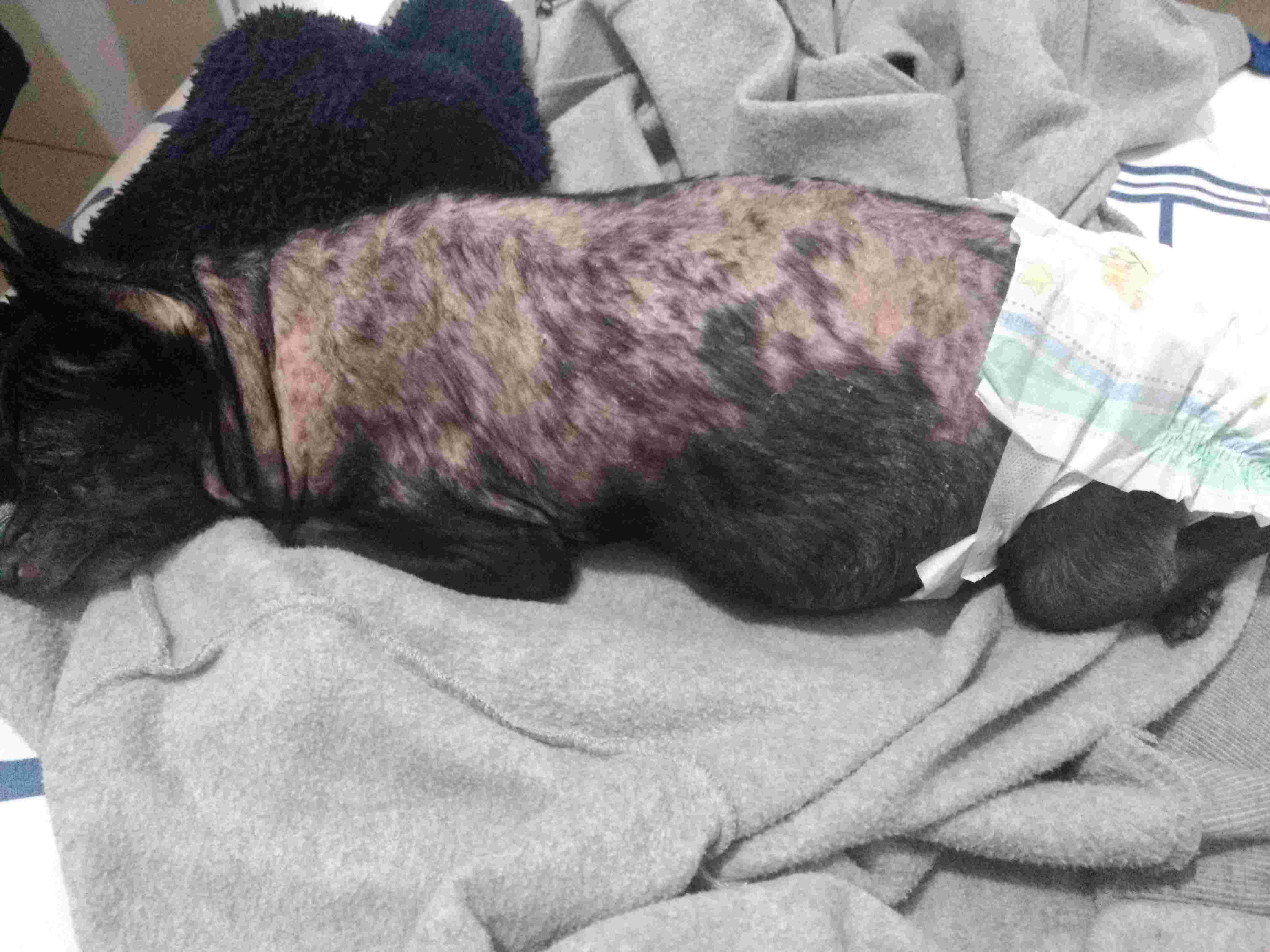 Question details sensitive content