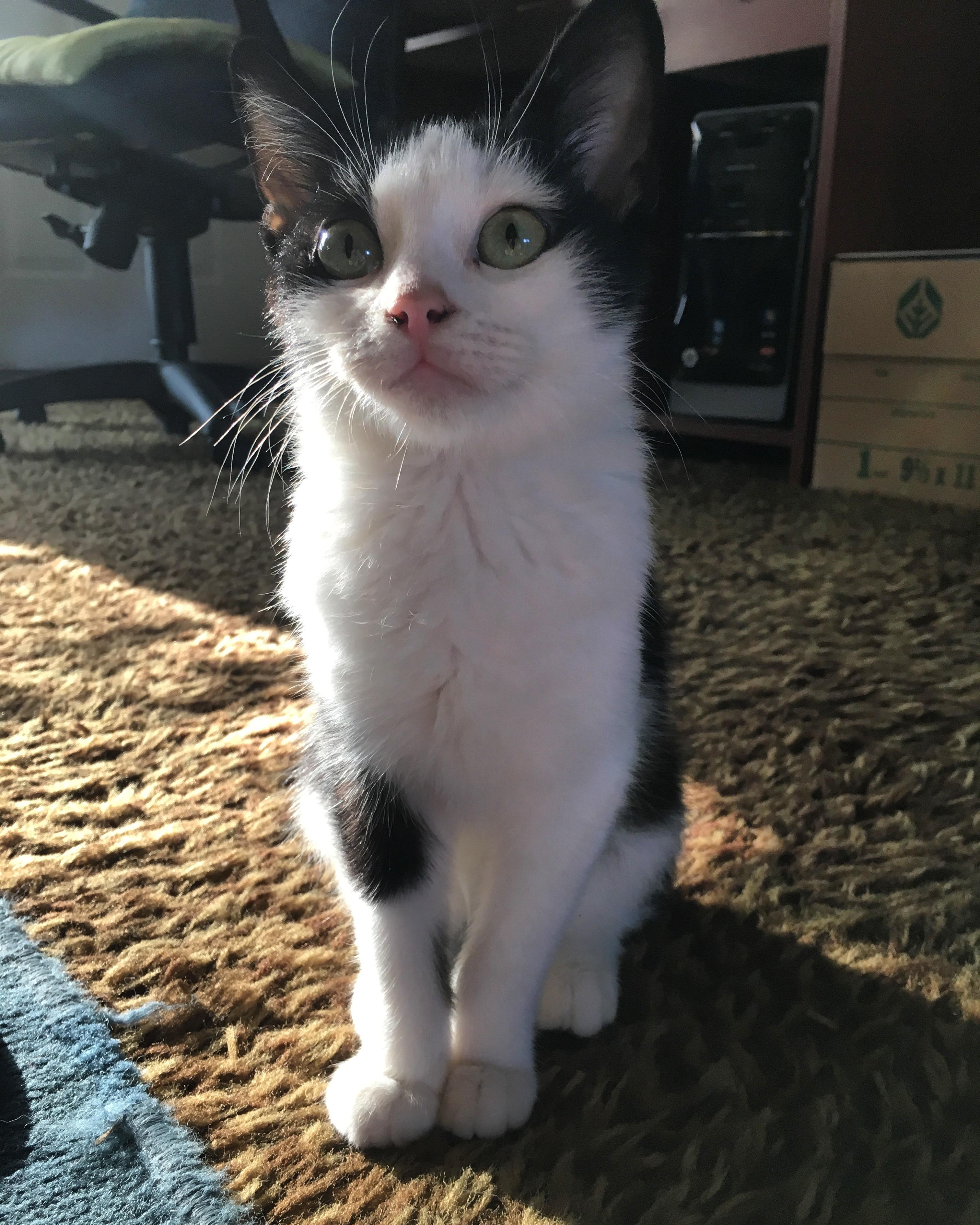 Question details sensitive content