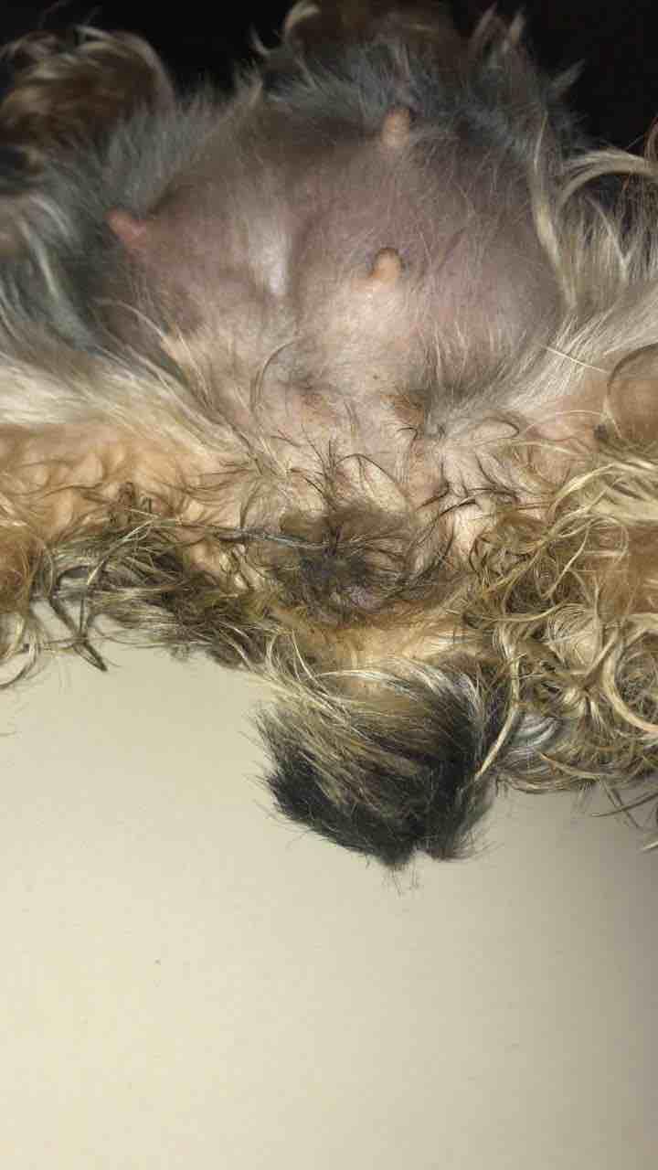 Question details sensitive content