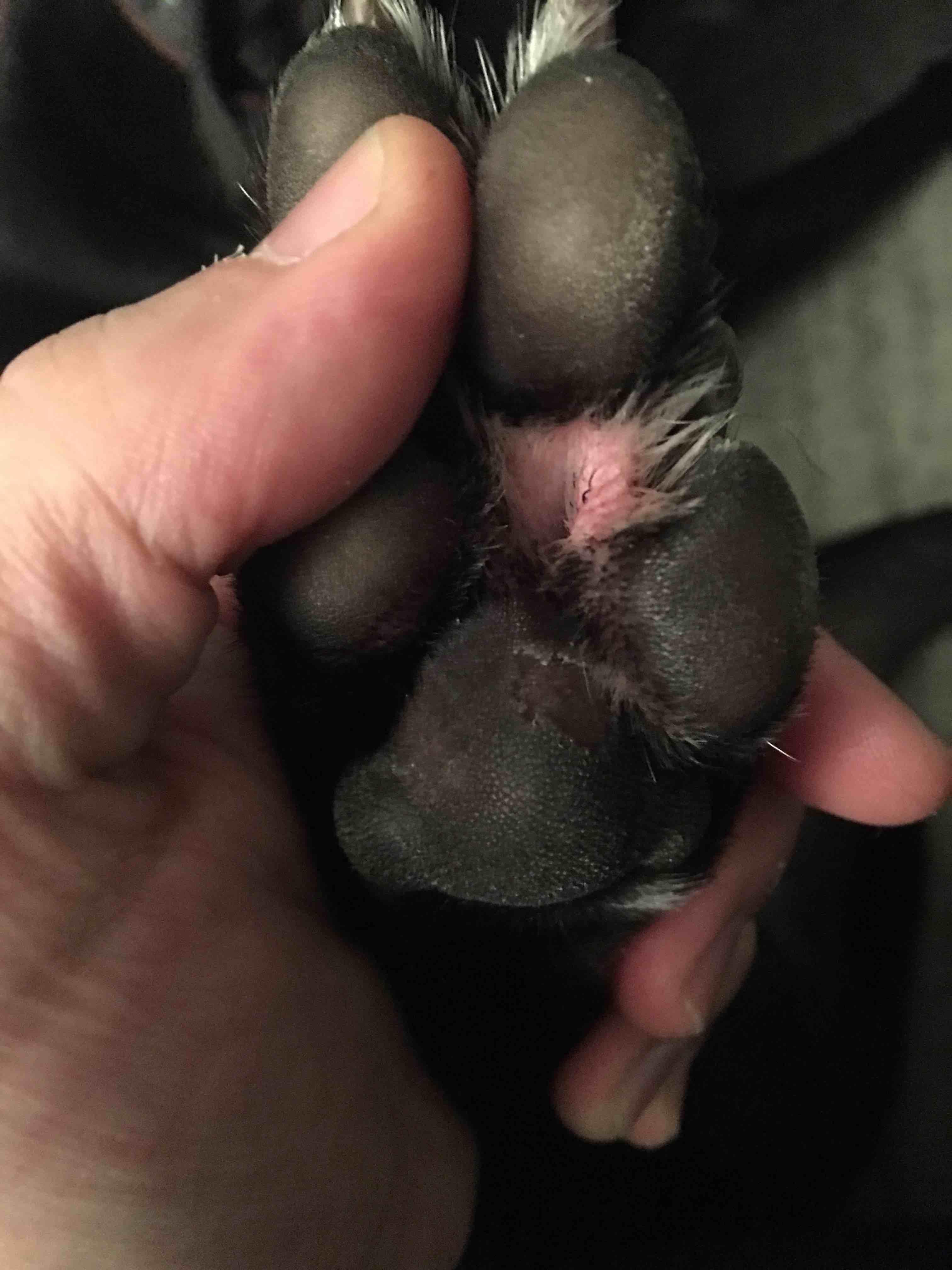 Question details sensitive content