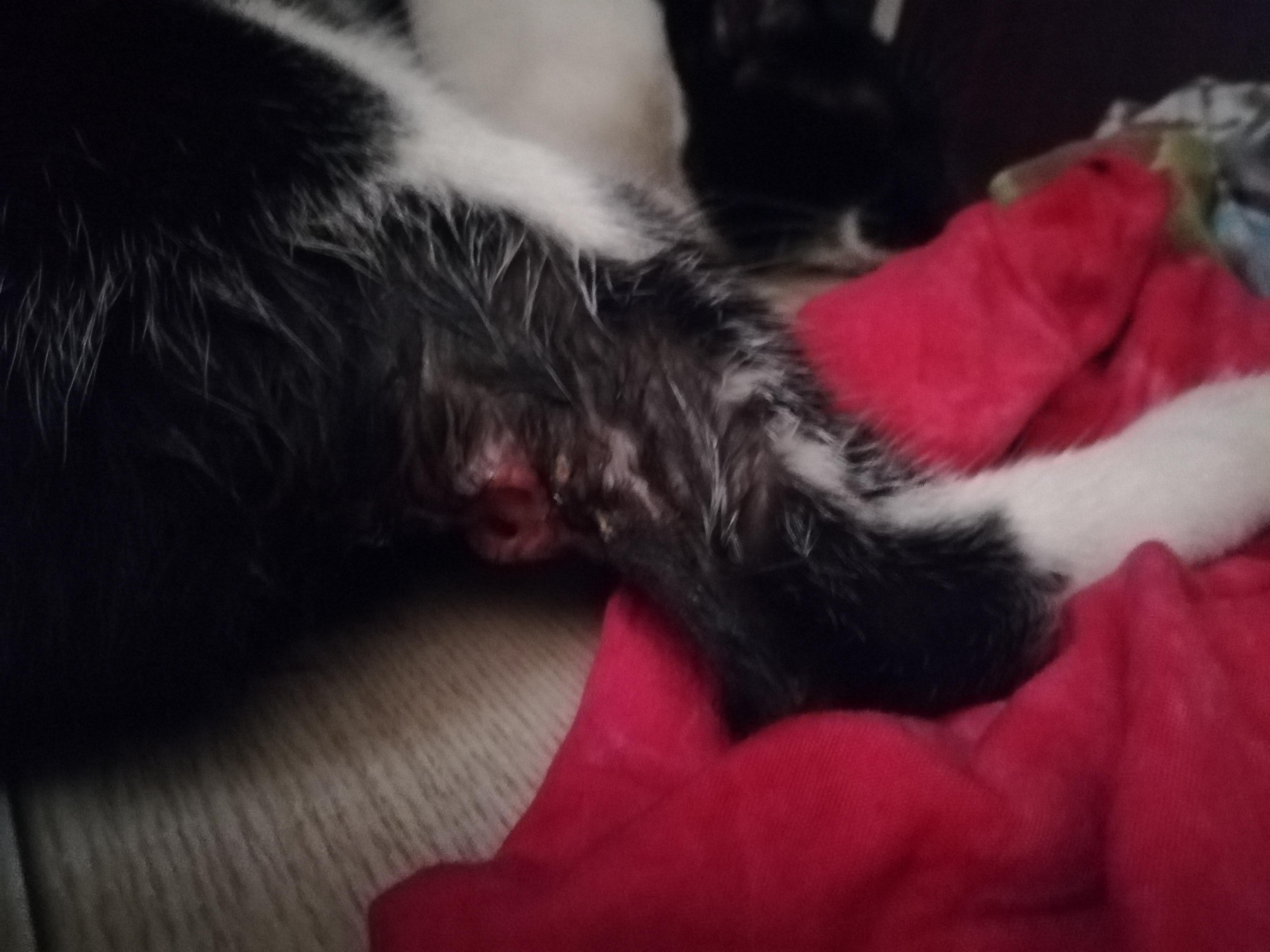 Question details sensitive content