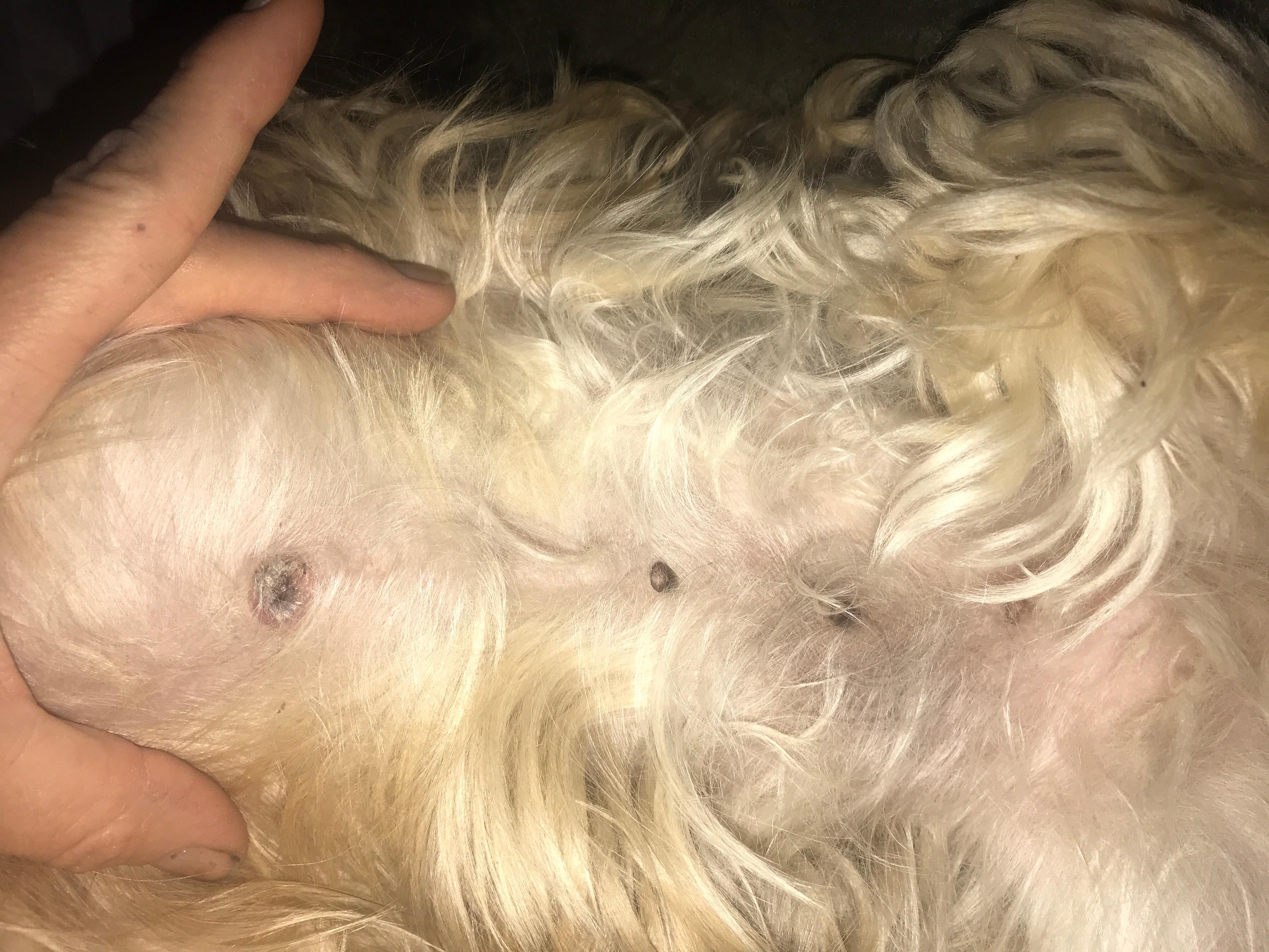 Question details sensitive content