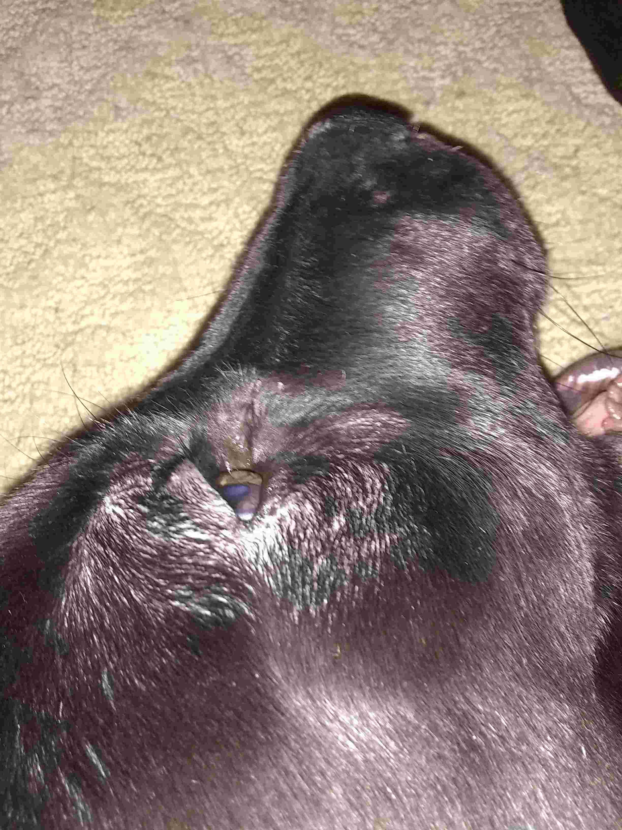 Question details sensitive content