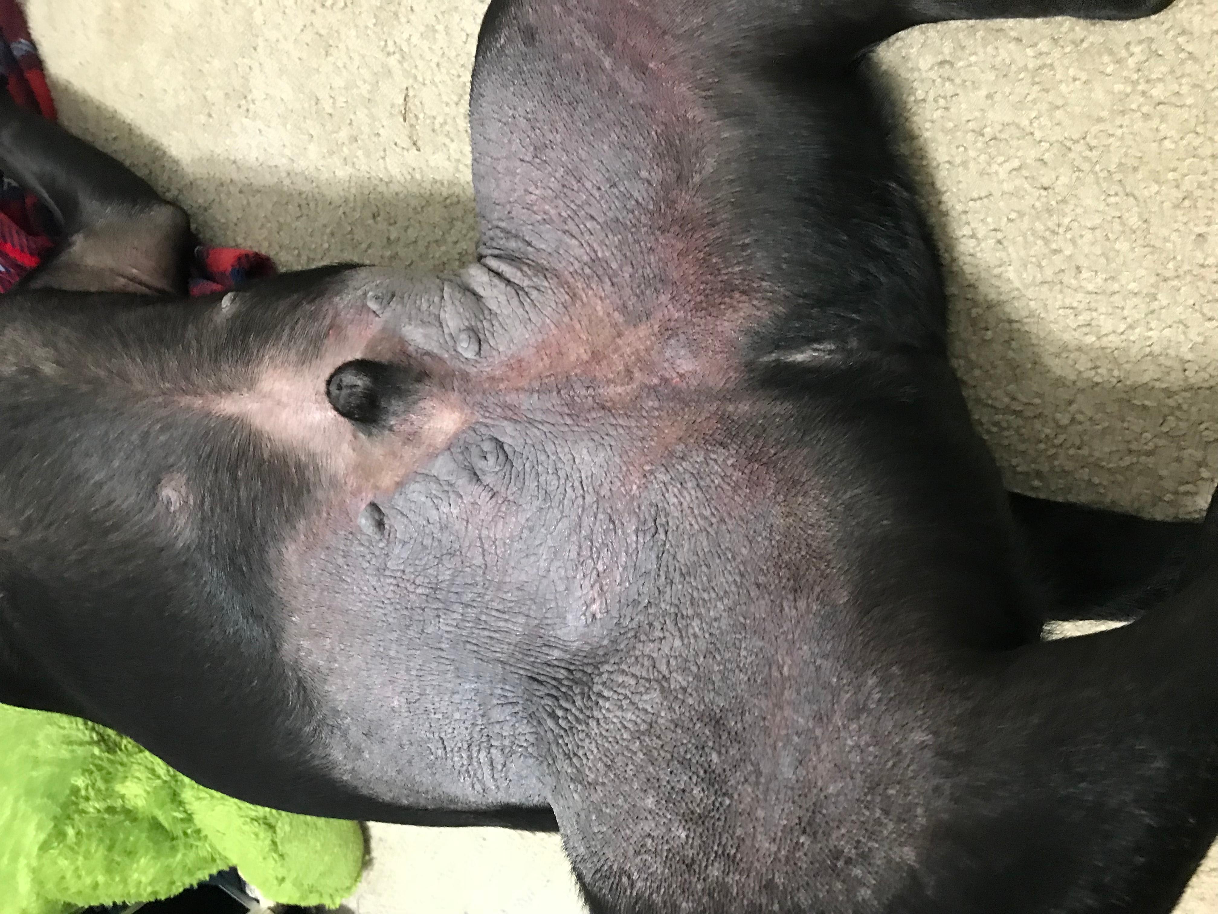 Question details sensitive content