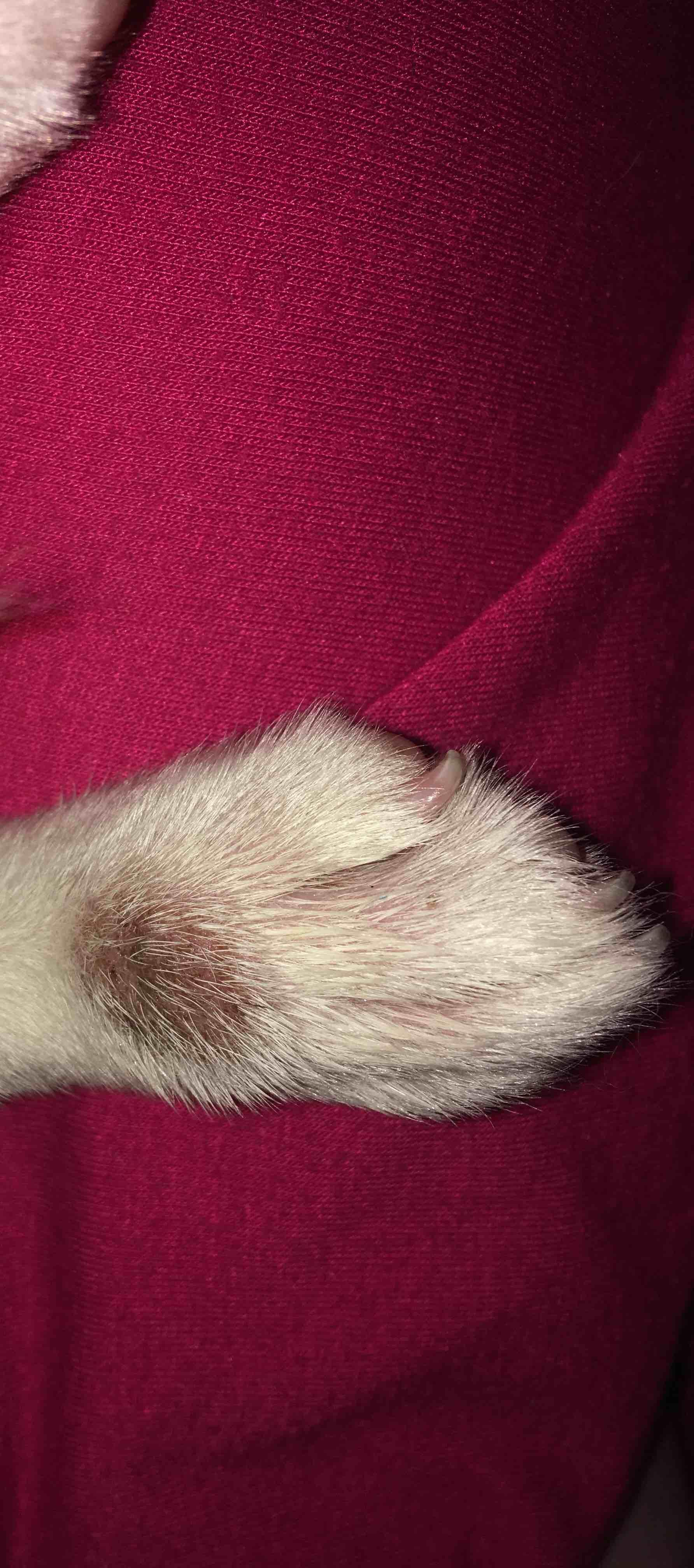 Question details sensitive content