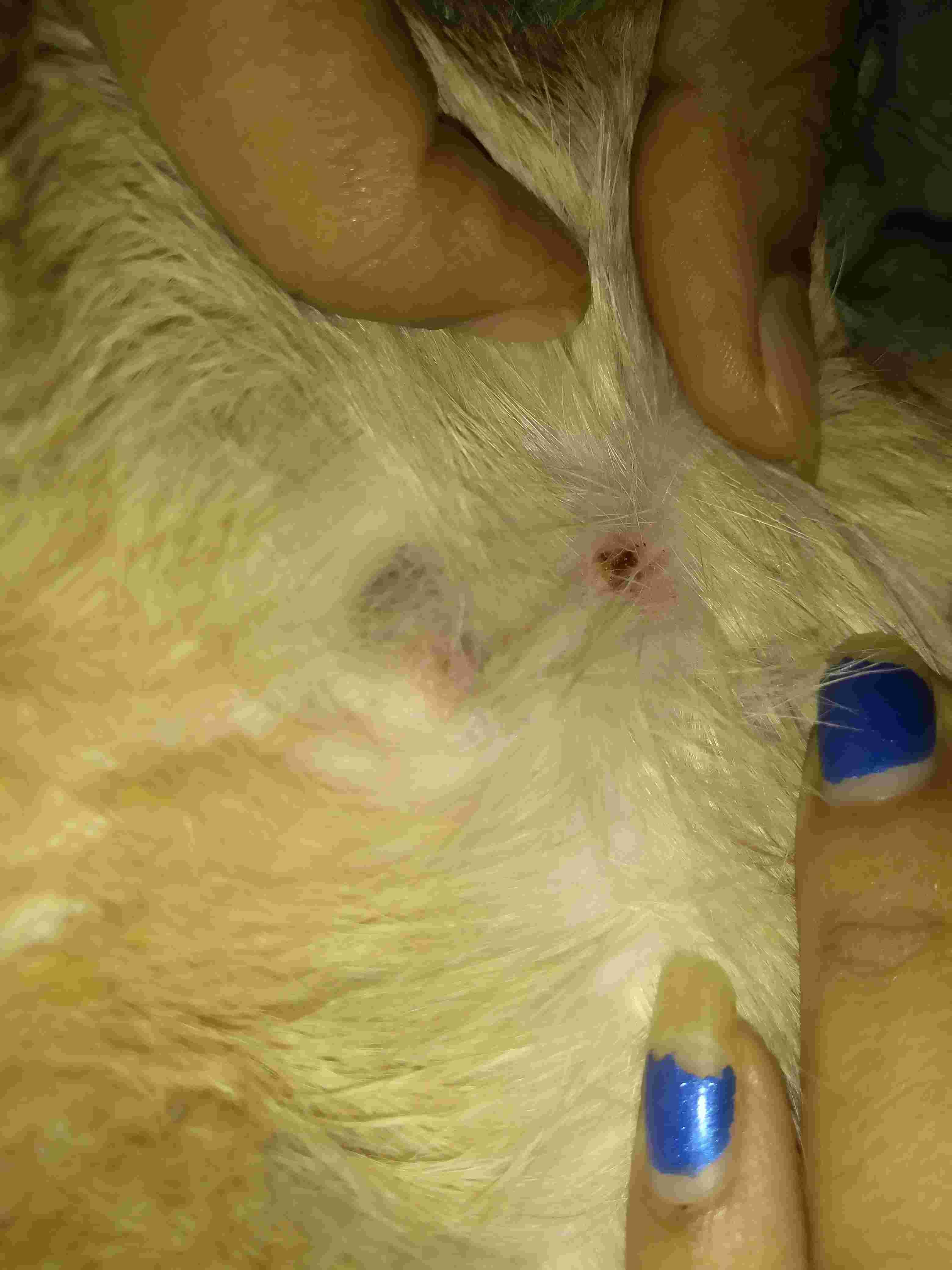 Question details sensitive content