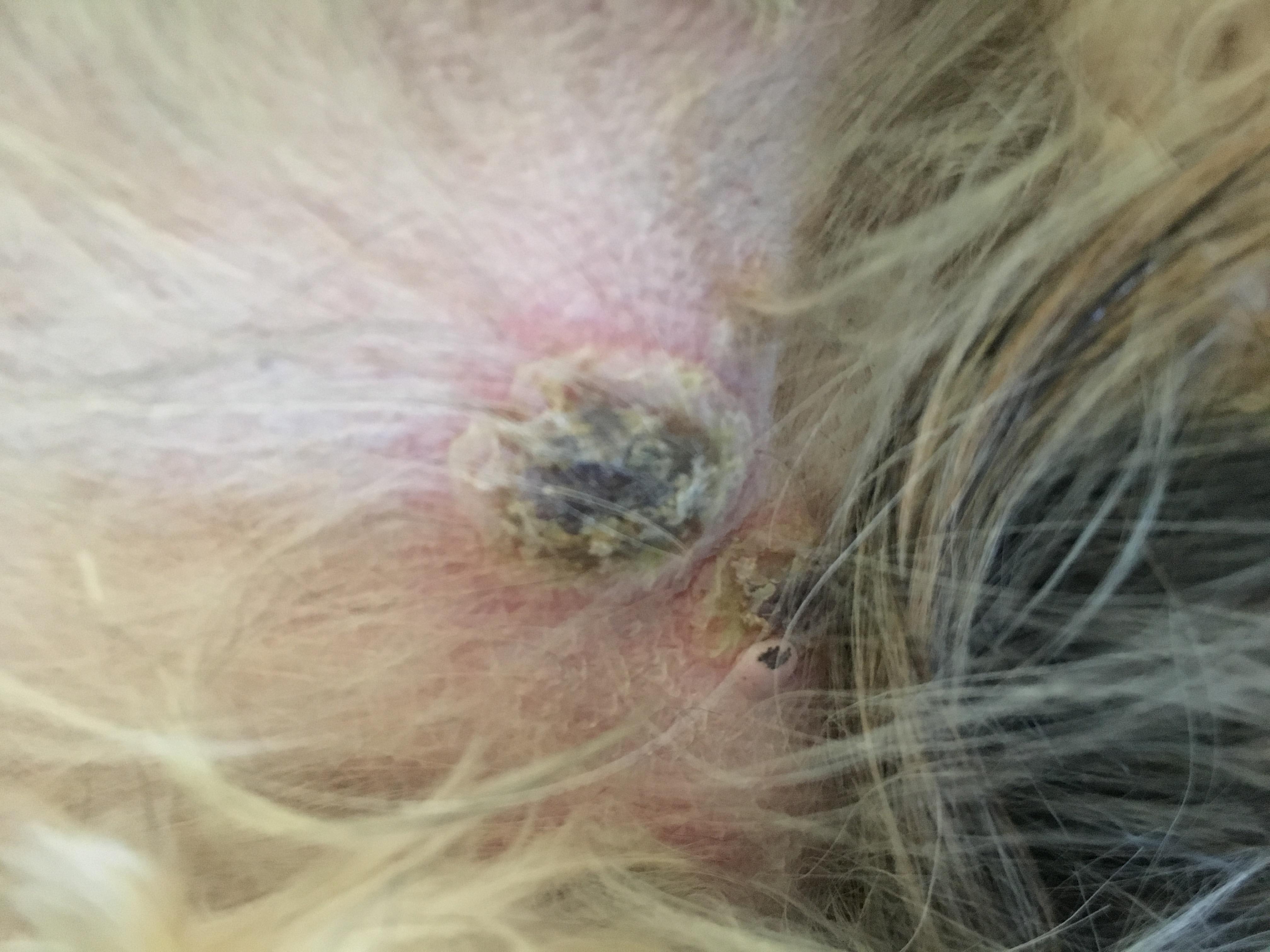 Question details sensitive content