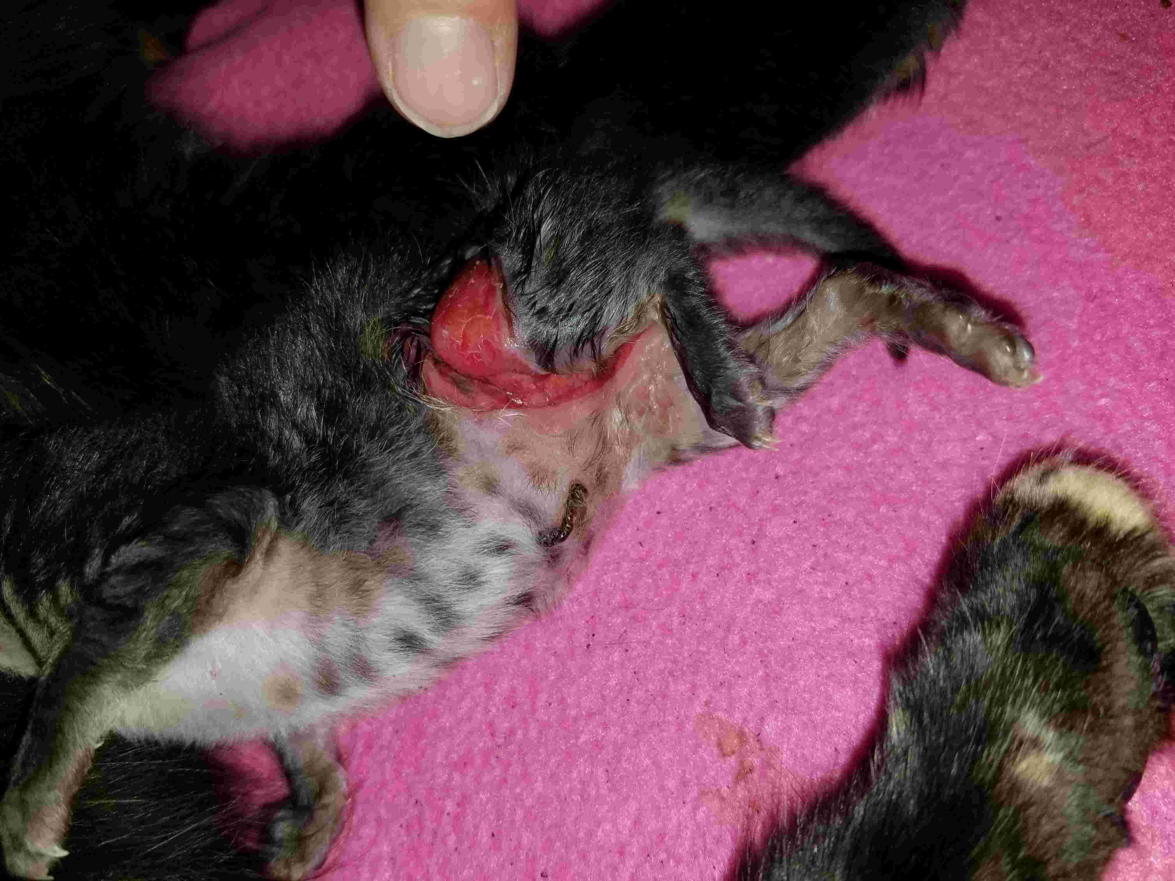 Question details sensitive content