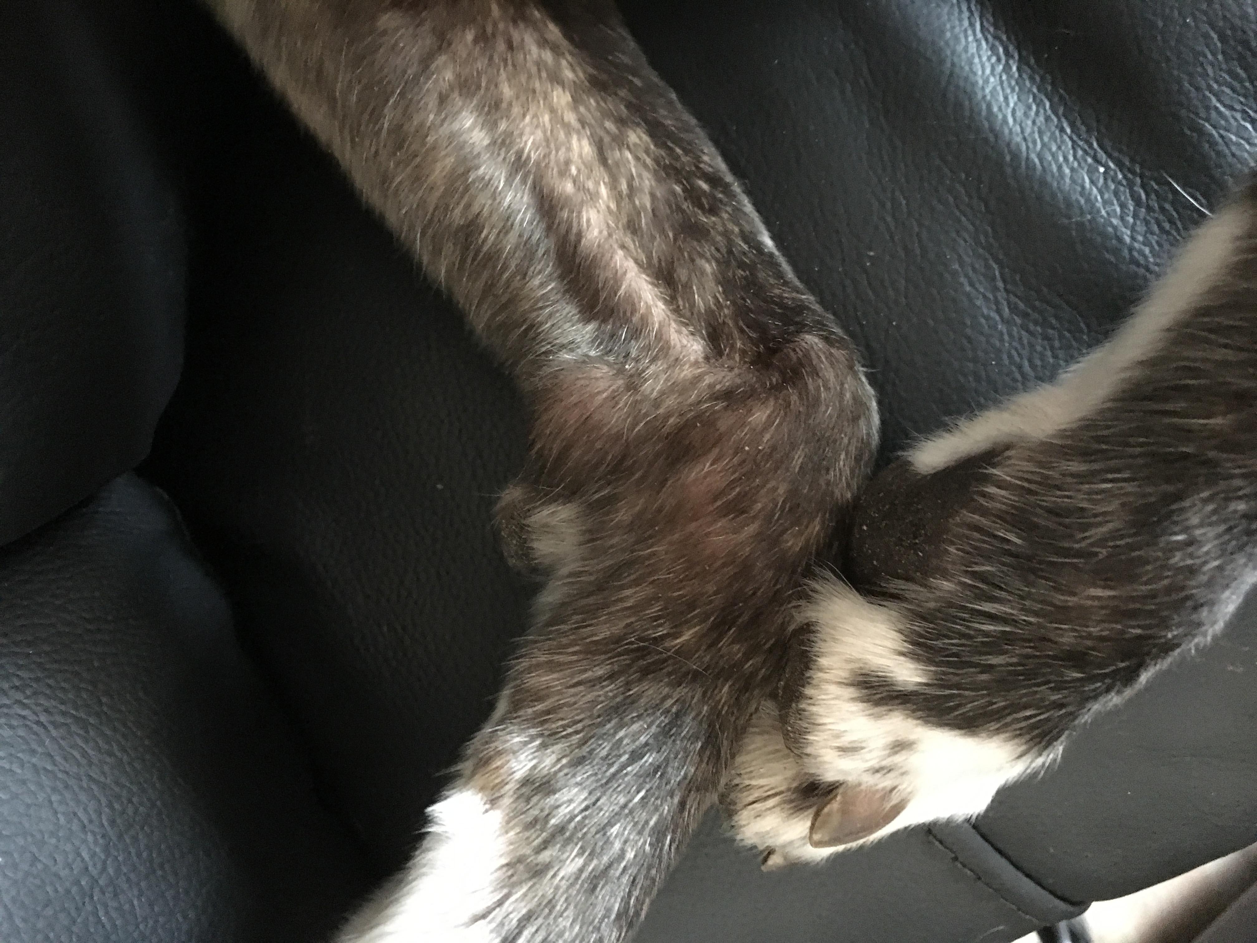 Question details sensitive content