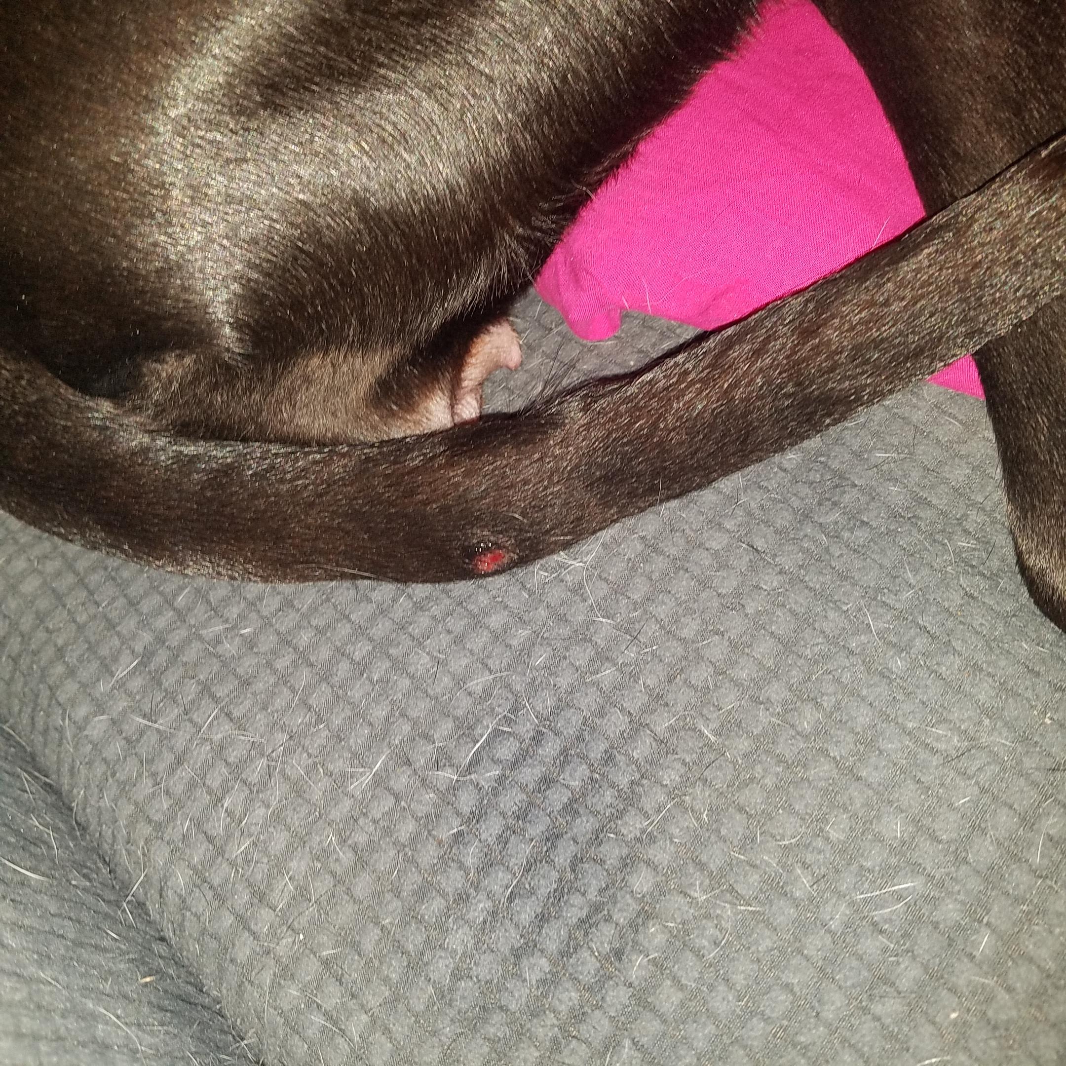 Question details sensitive content