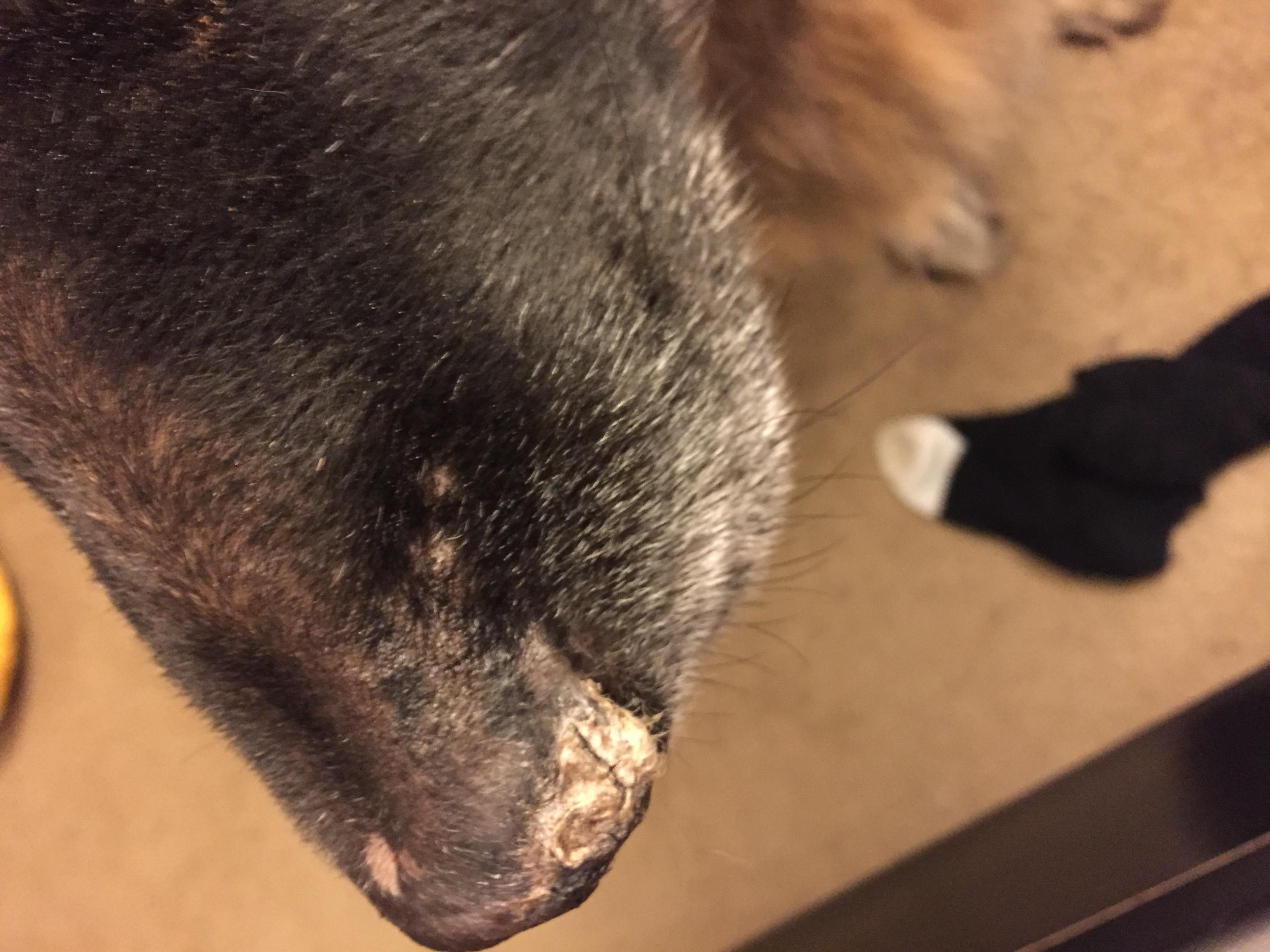 Question details sensitive content