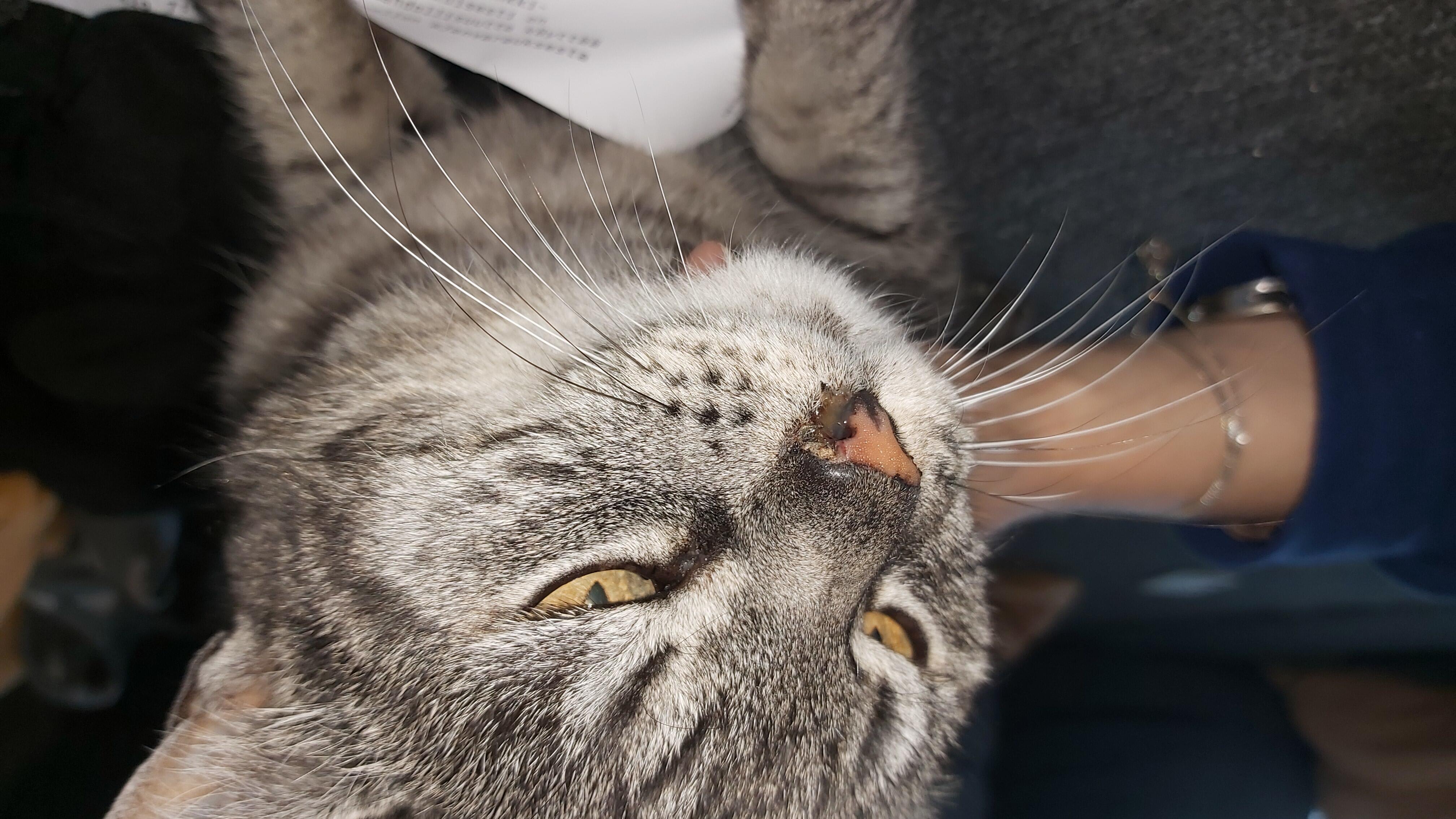 Question details sensitive content