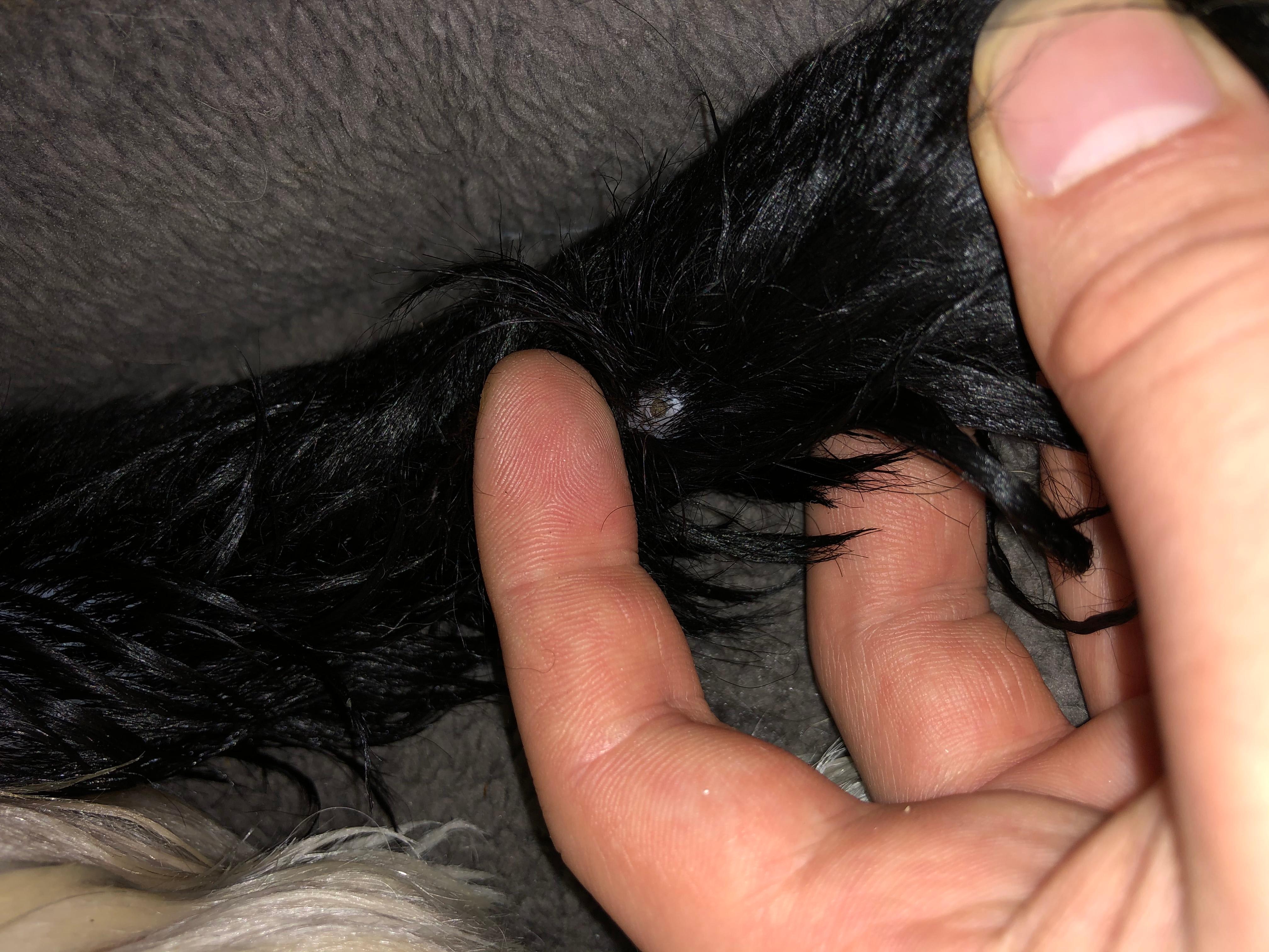 Question details sensitive content