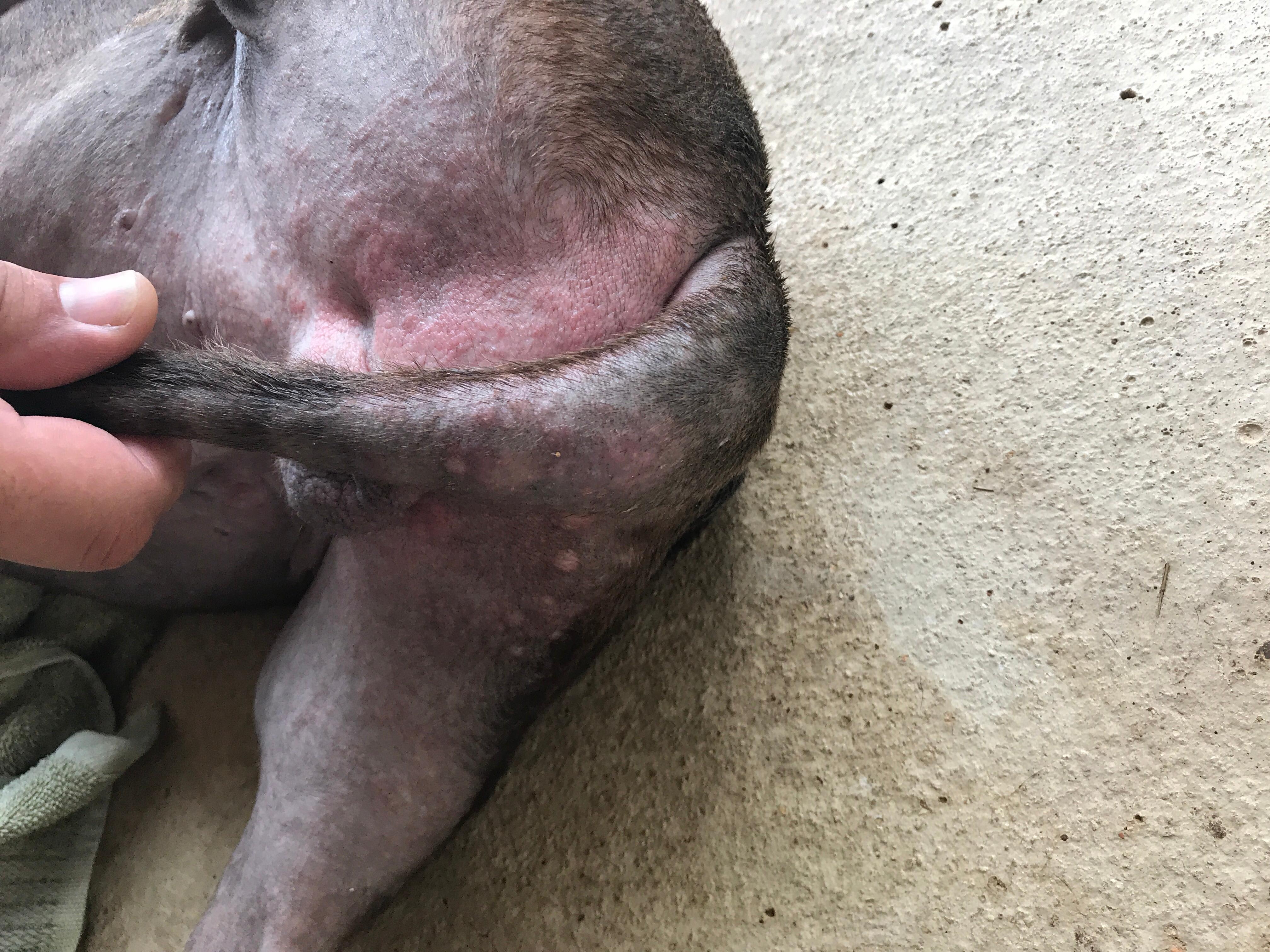 Question details sensitive content