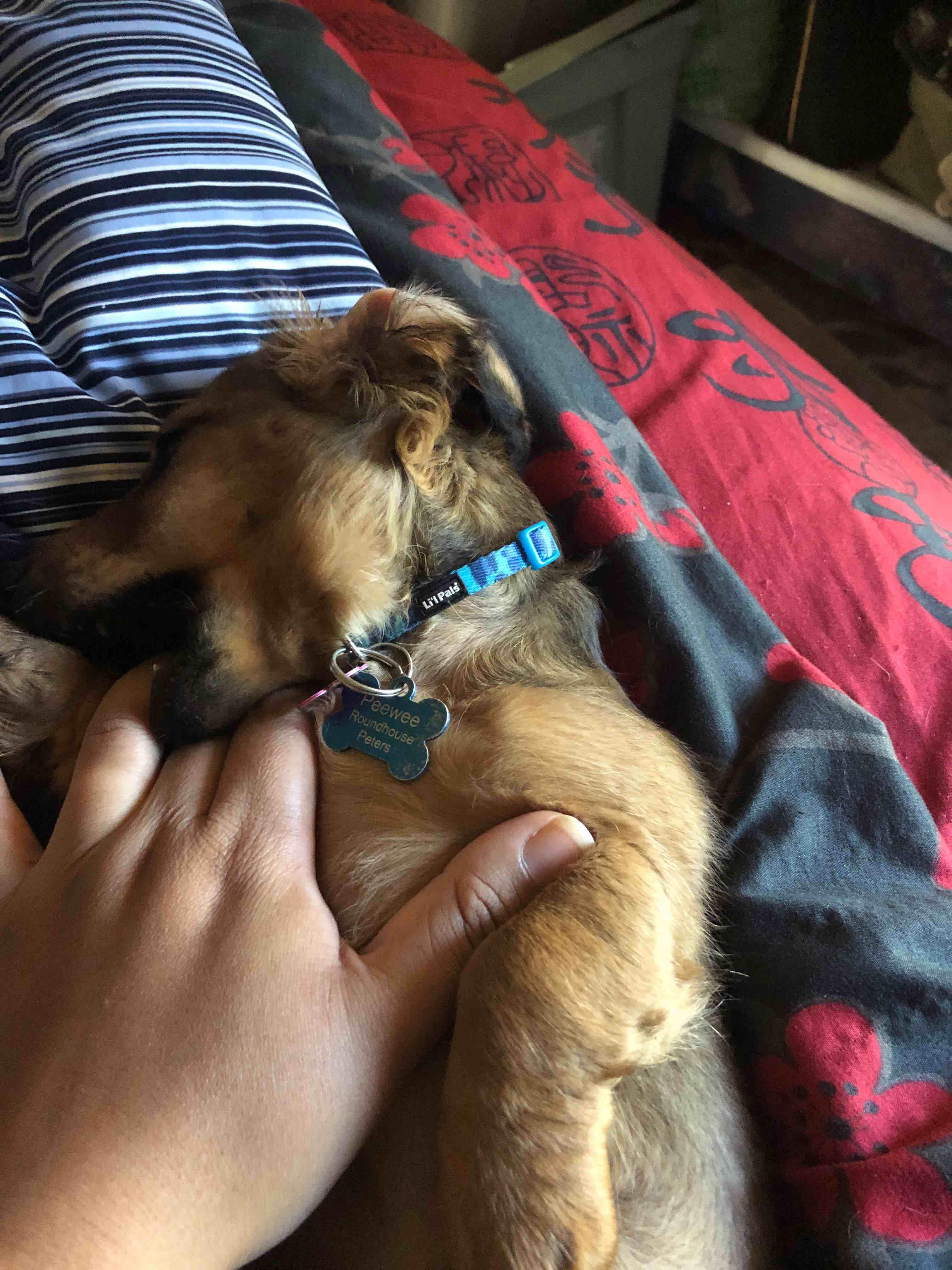 Question details sensitive content