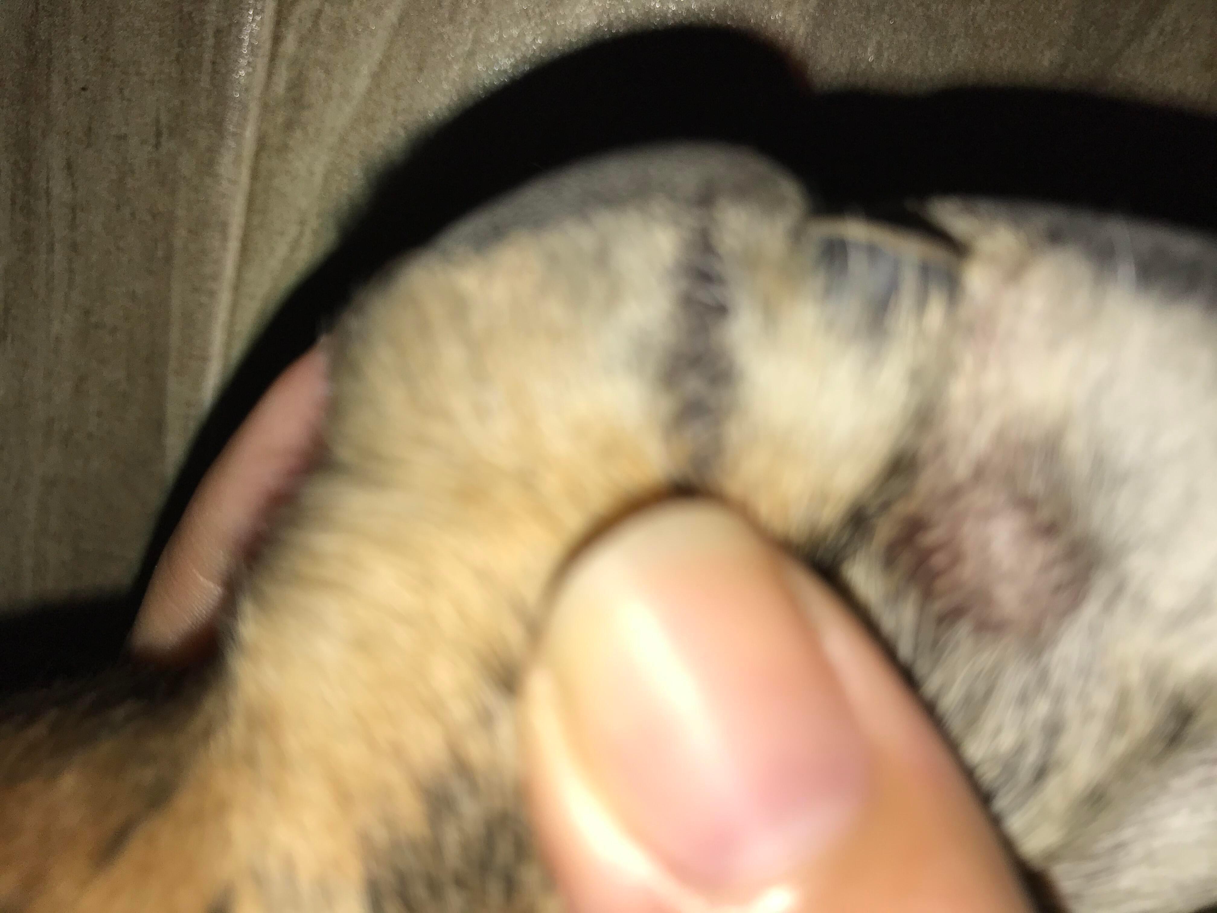 Question details sensitive content