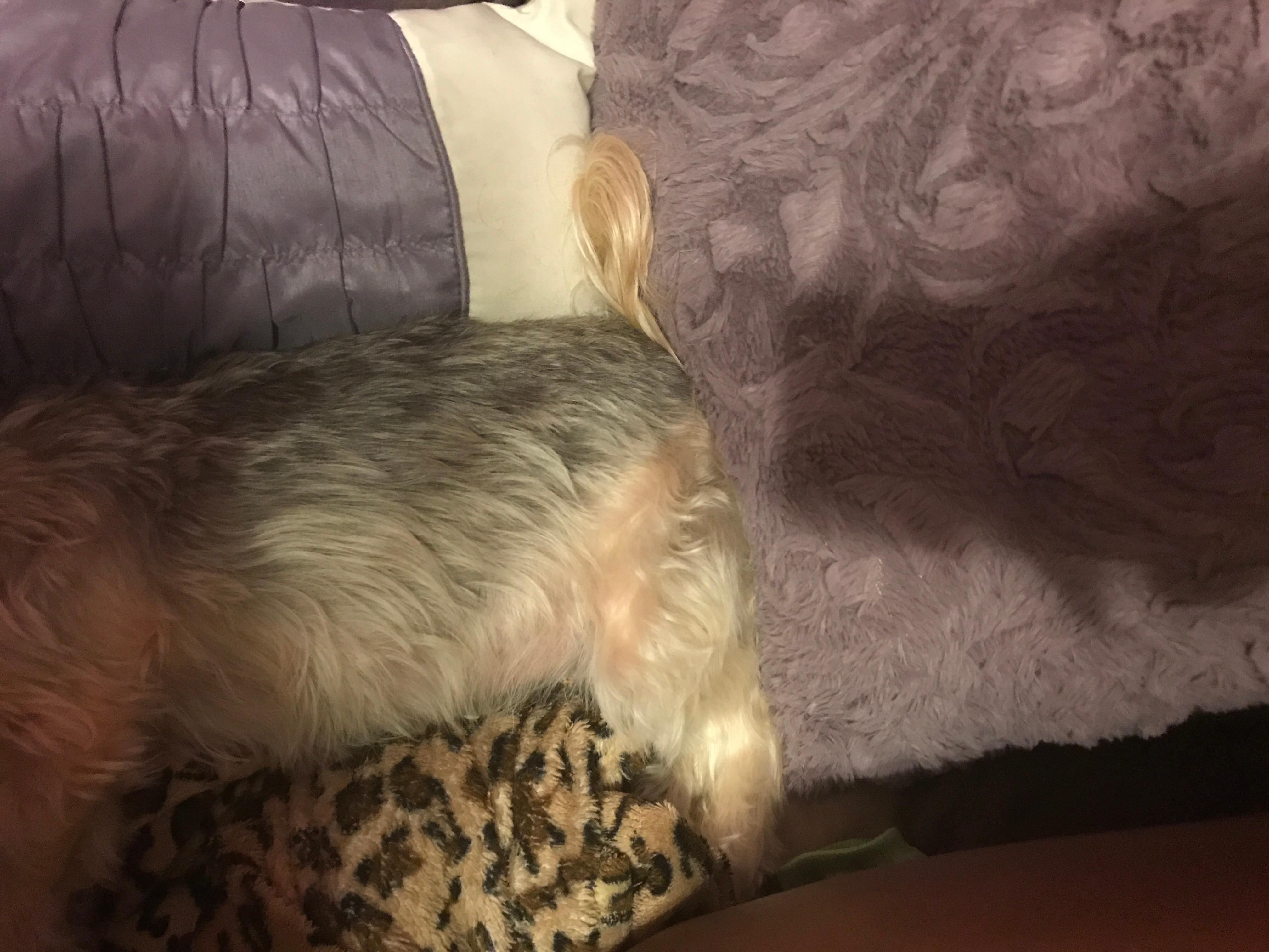 Question details sensitive content