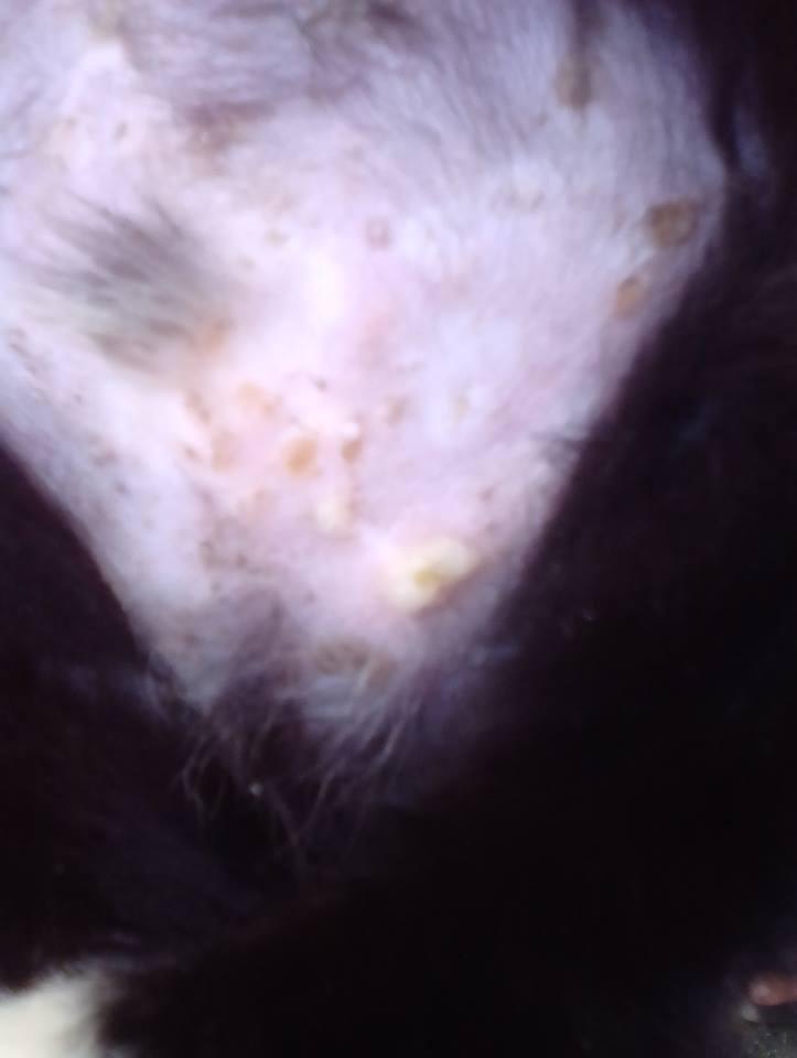 Question details sensitive content