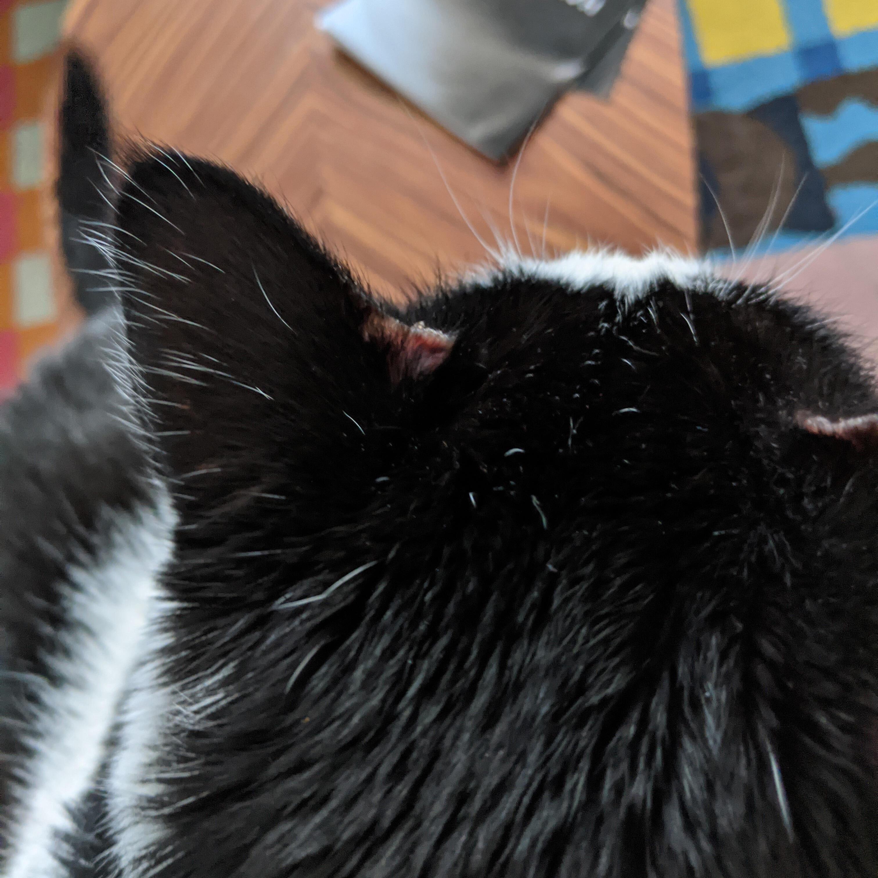 Question details sensitive content