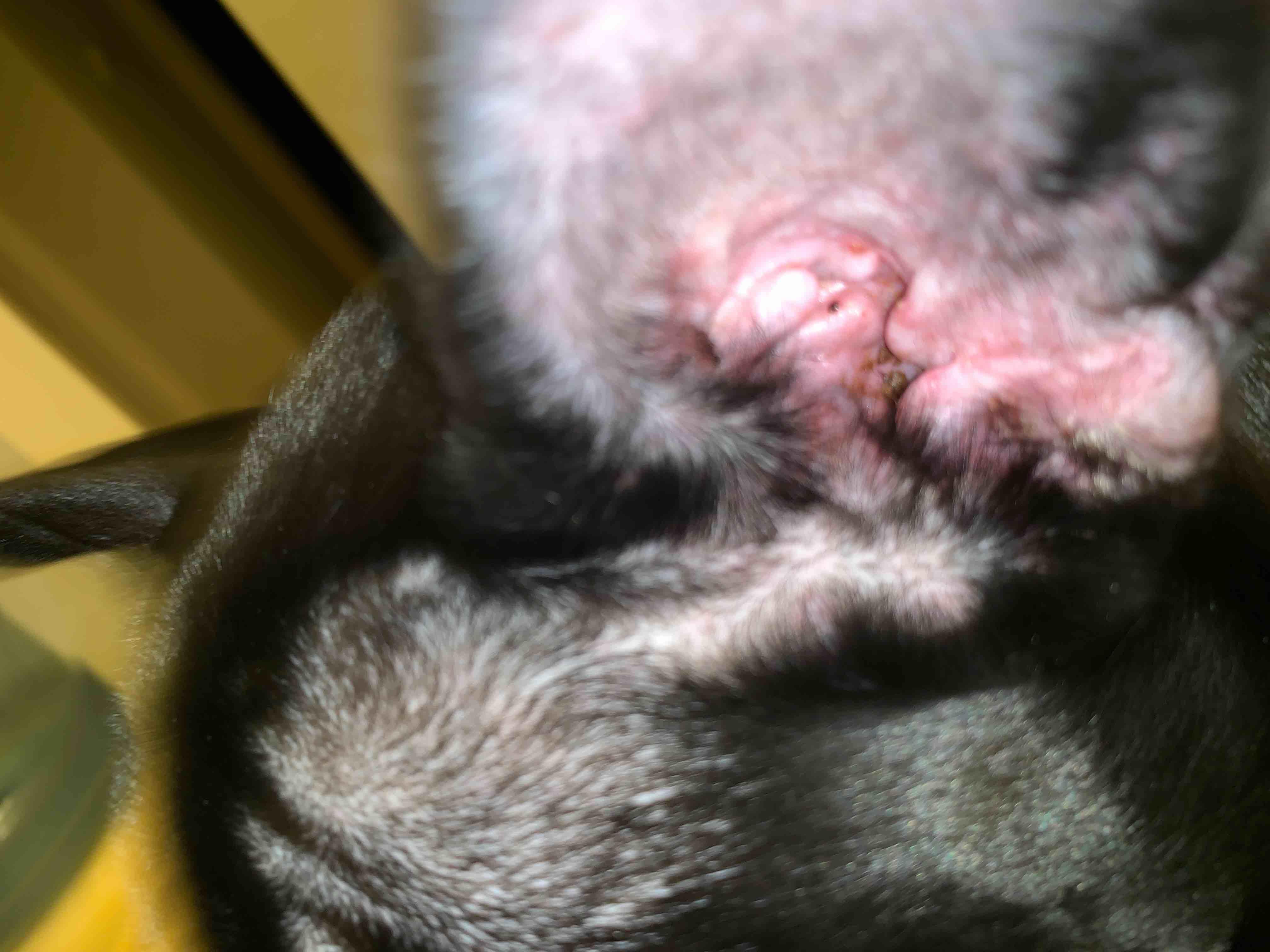 Question details sensitive content