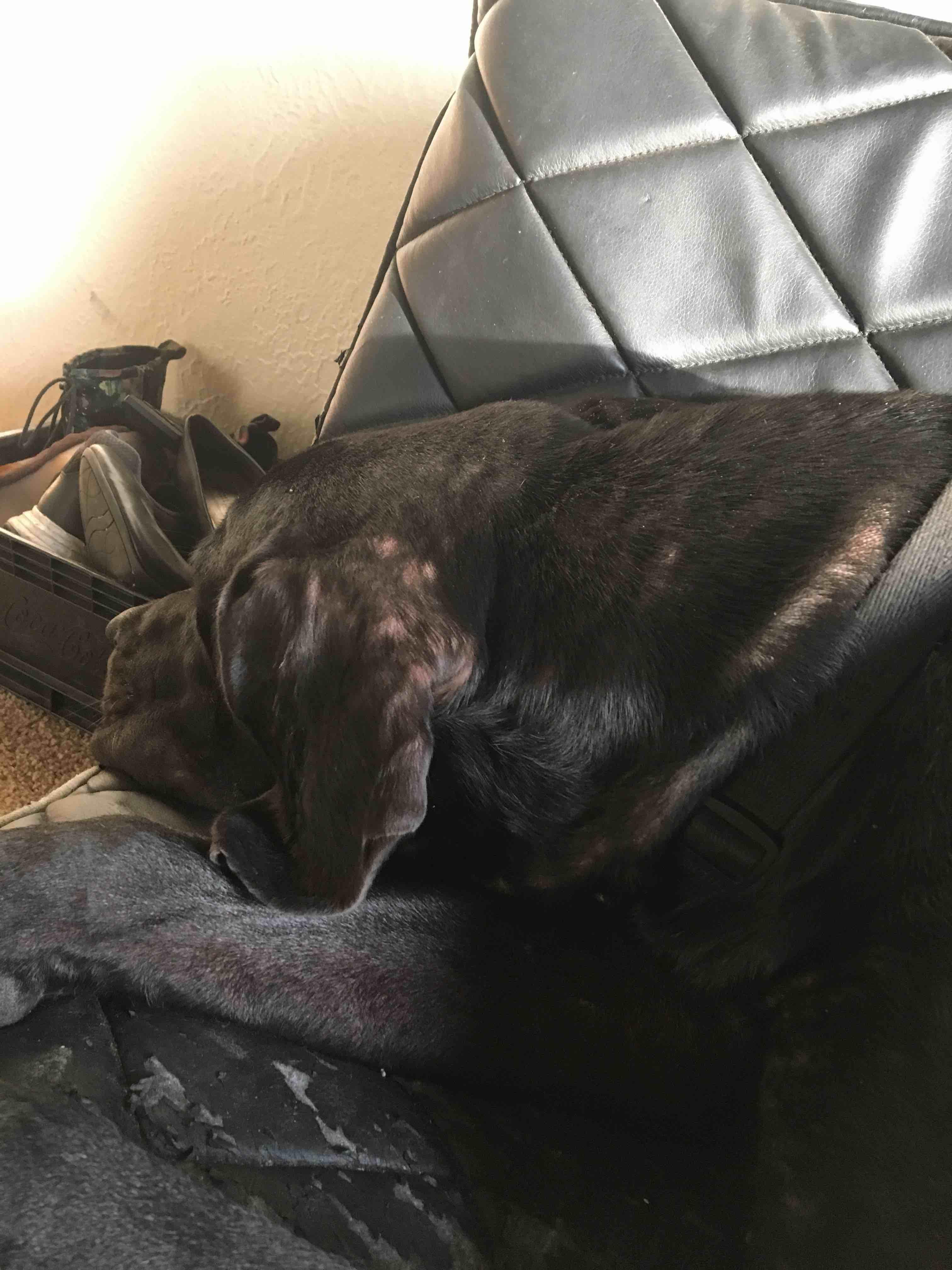 Question details sensitive content