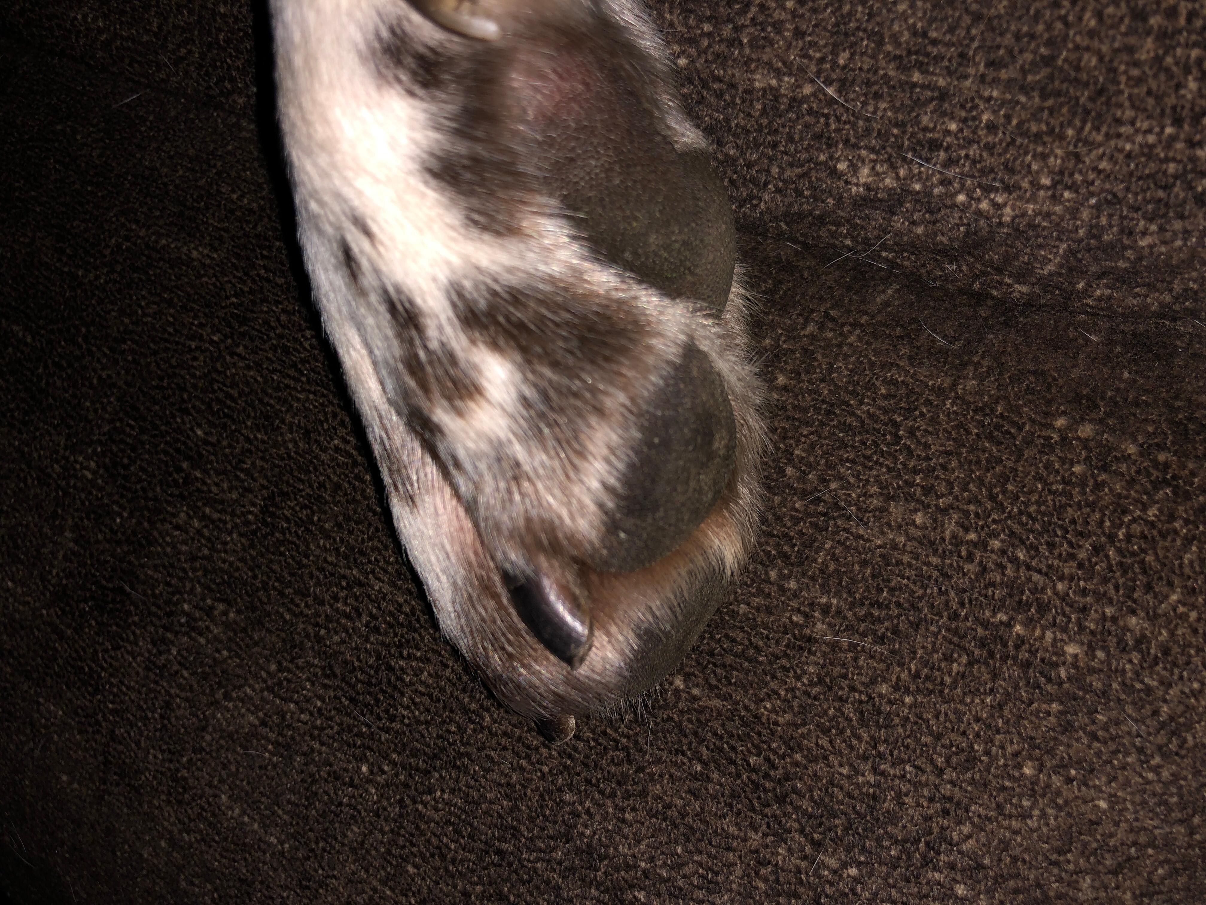 Question details sensitive content