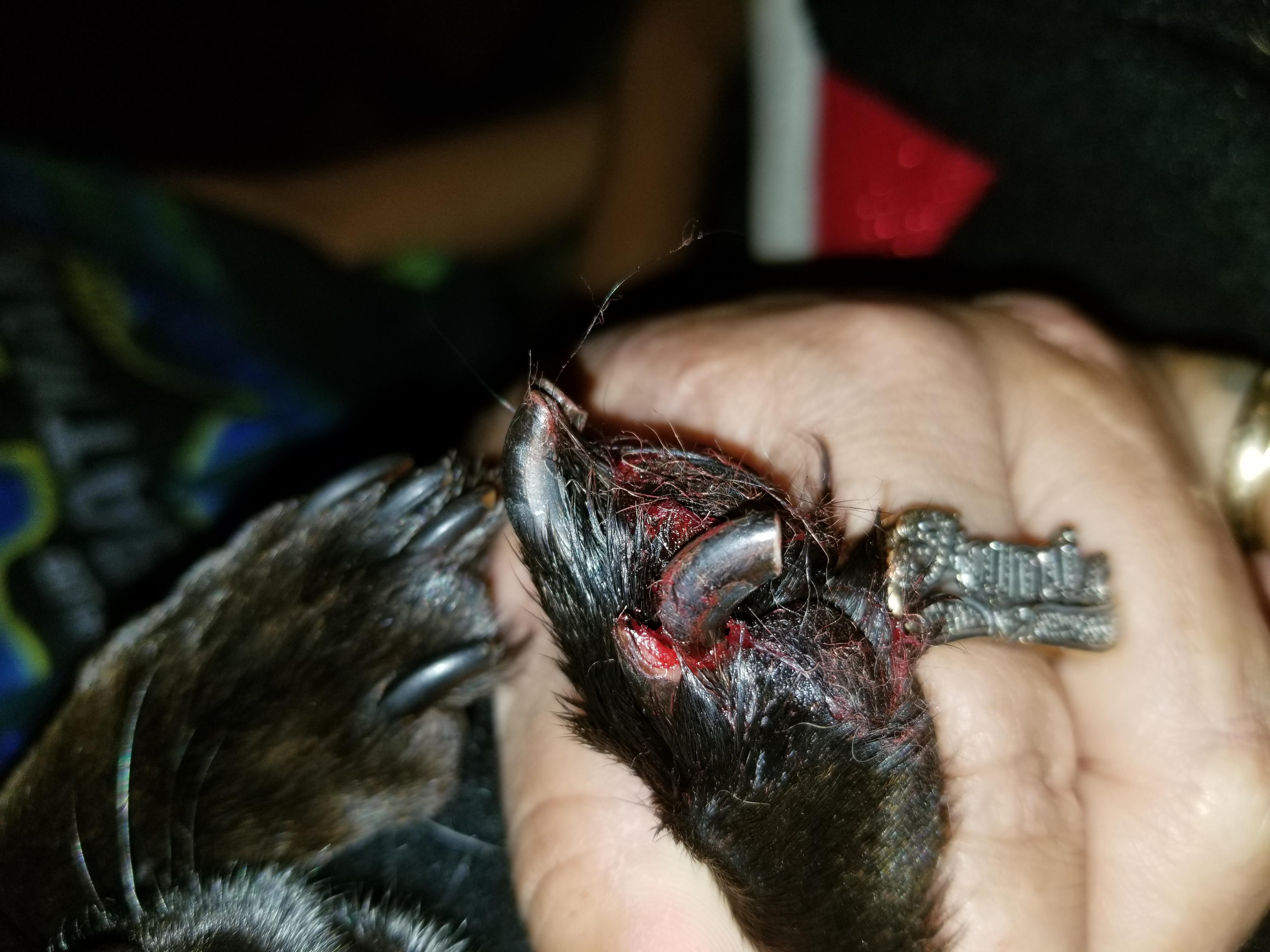 Question details sensitive content