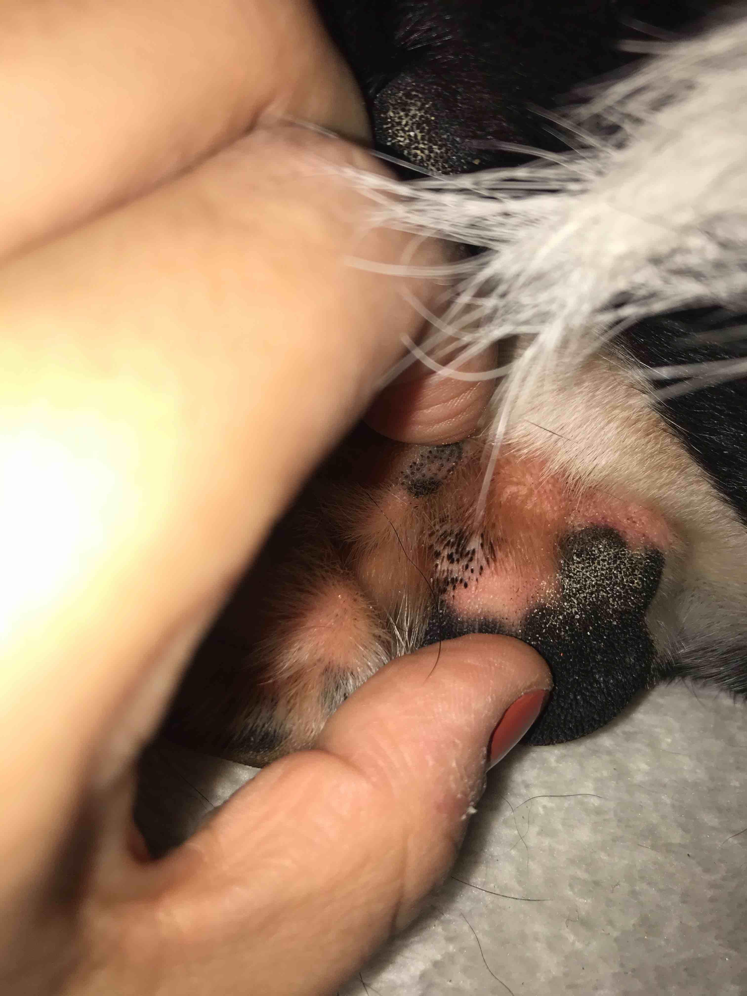 Question details sensitive content