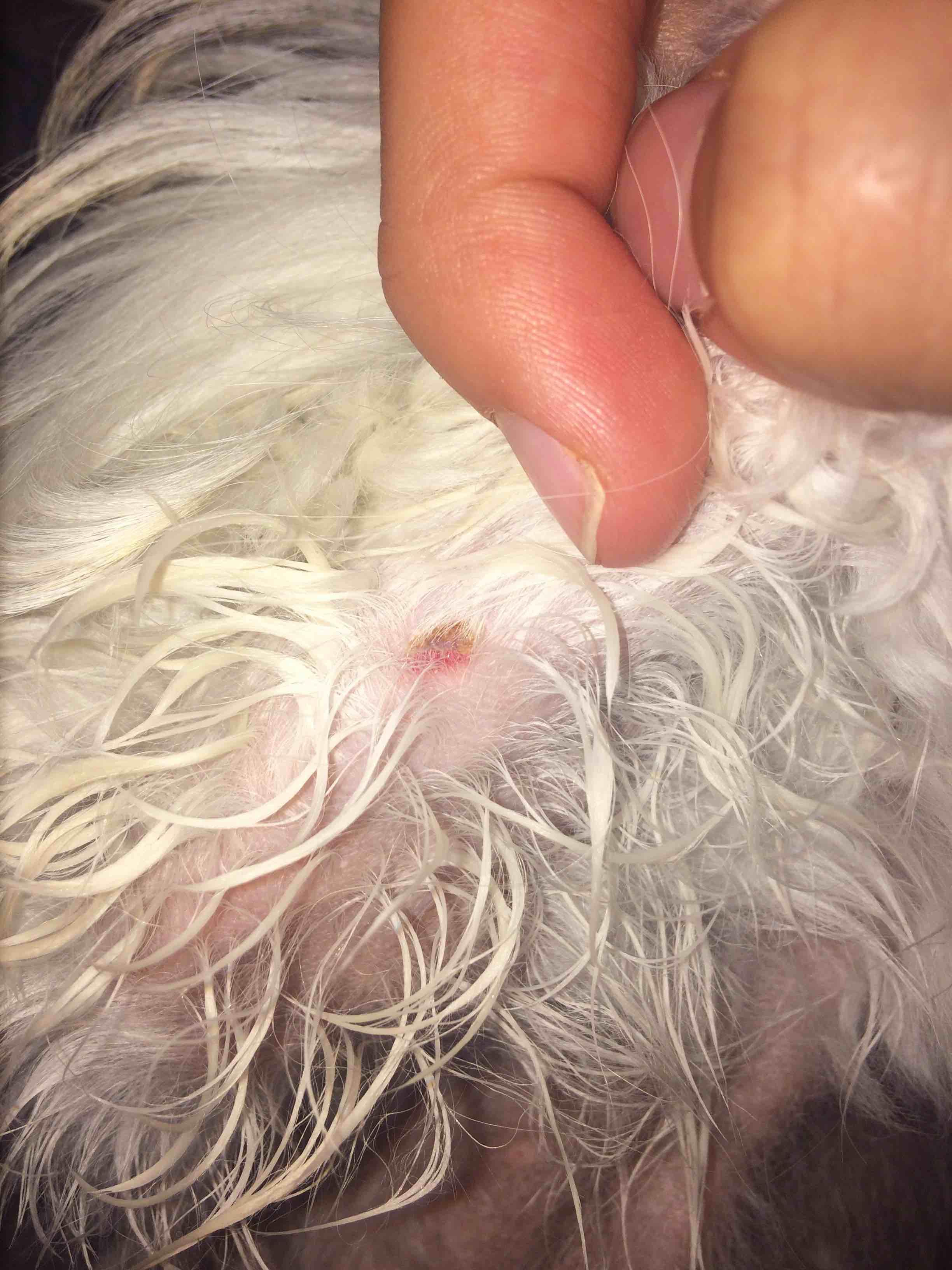 Question details sensitive content