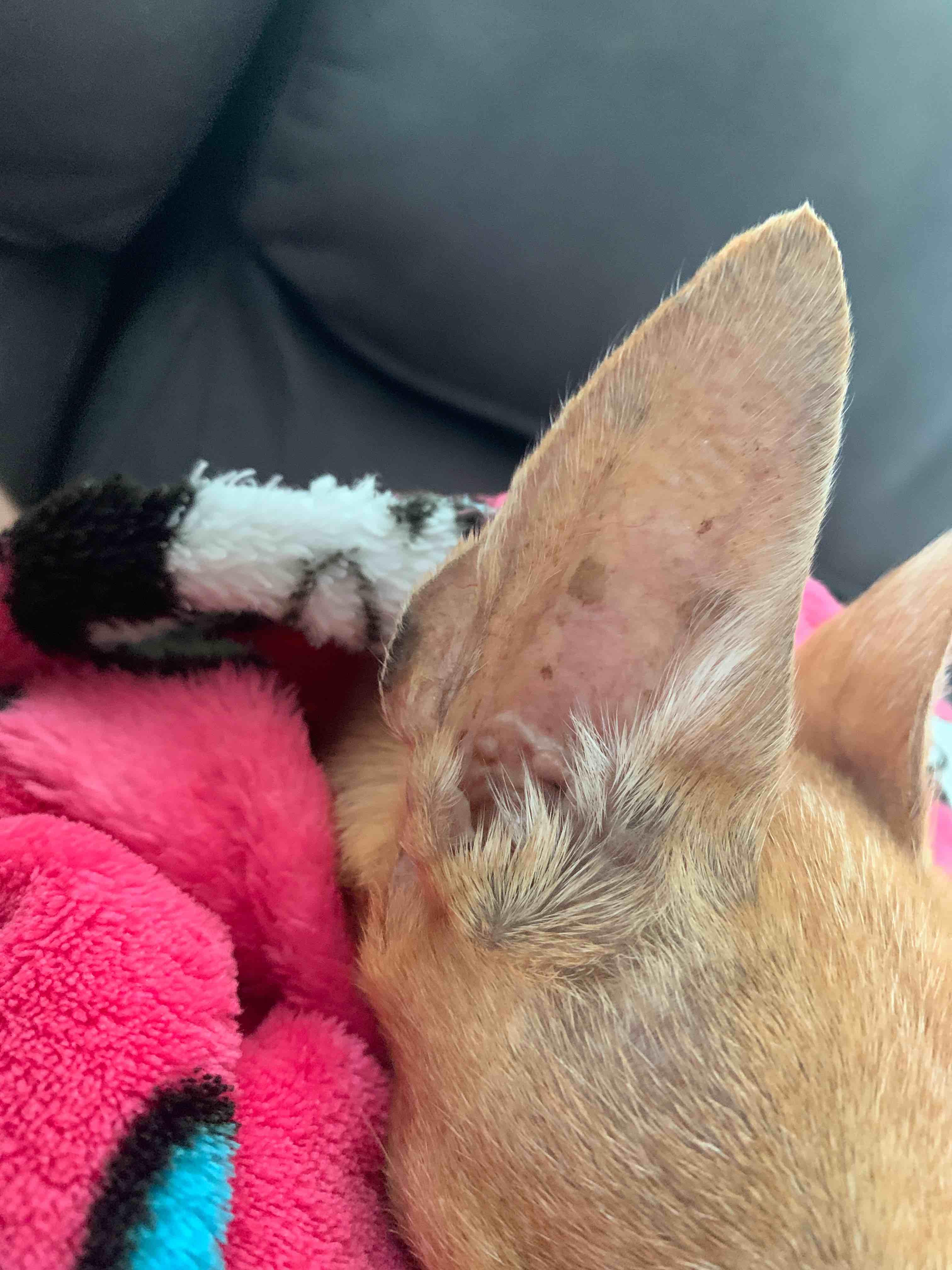 Question details sensitive content