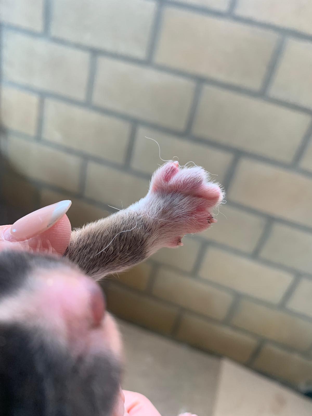 Question details sensitive content