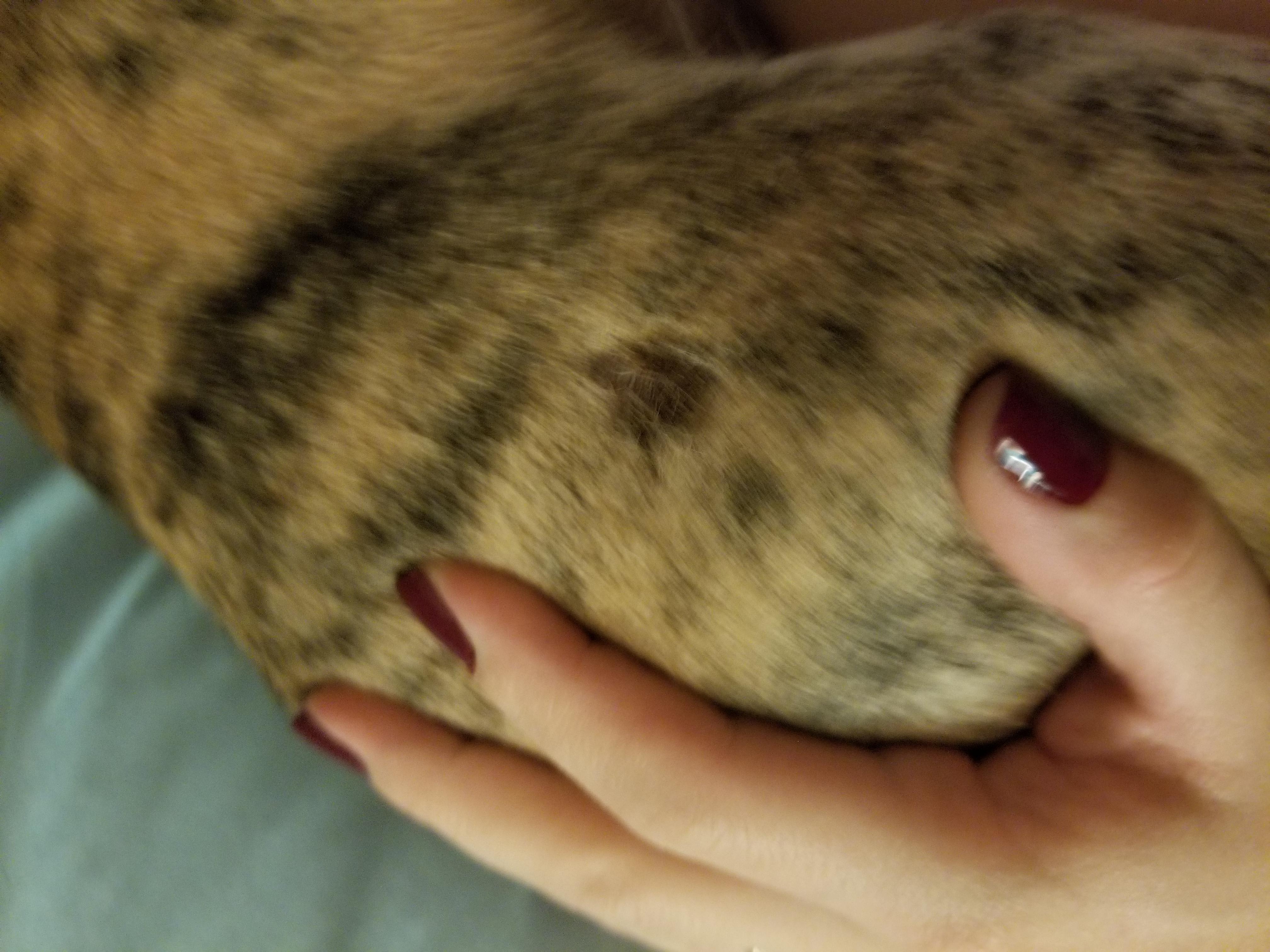 Question details sensitive content