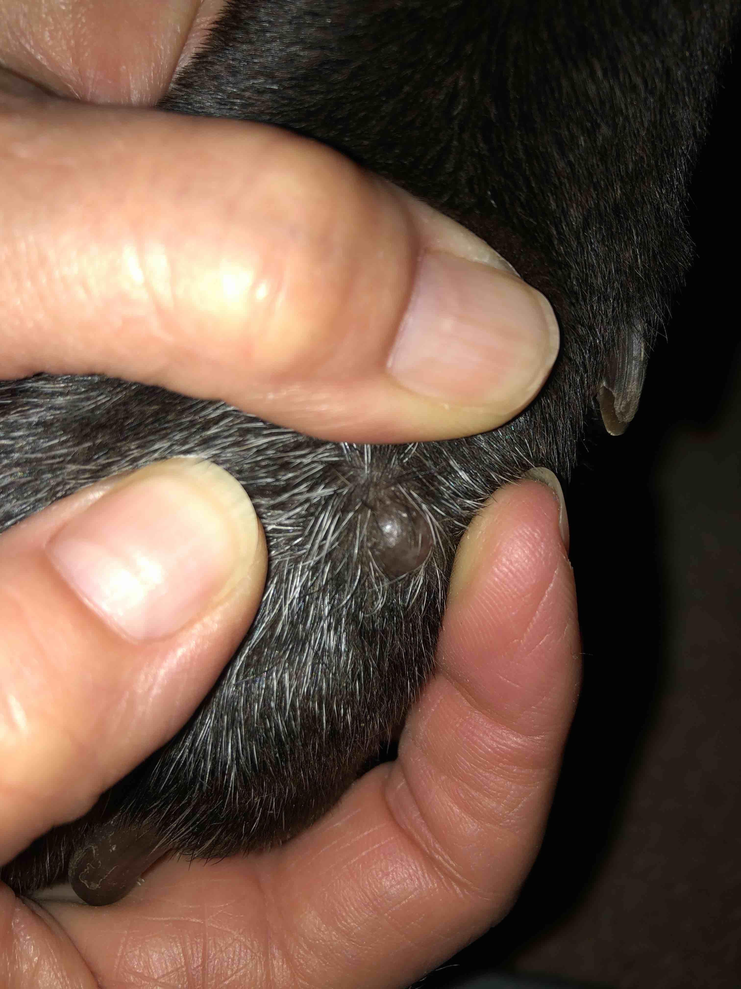 Question details sensitive content