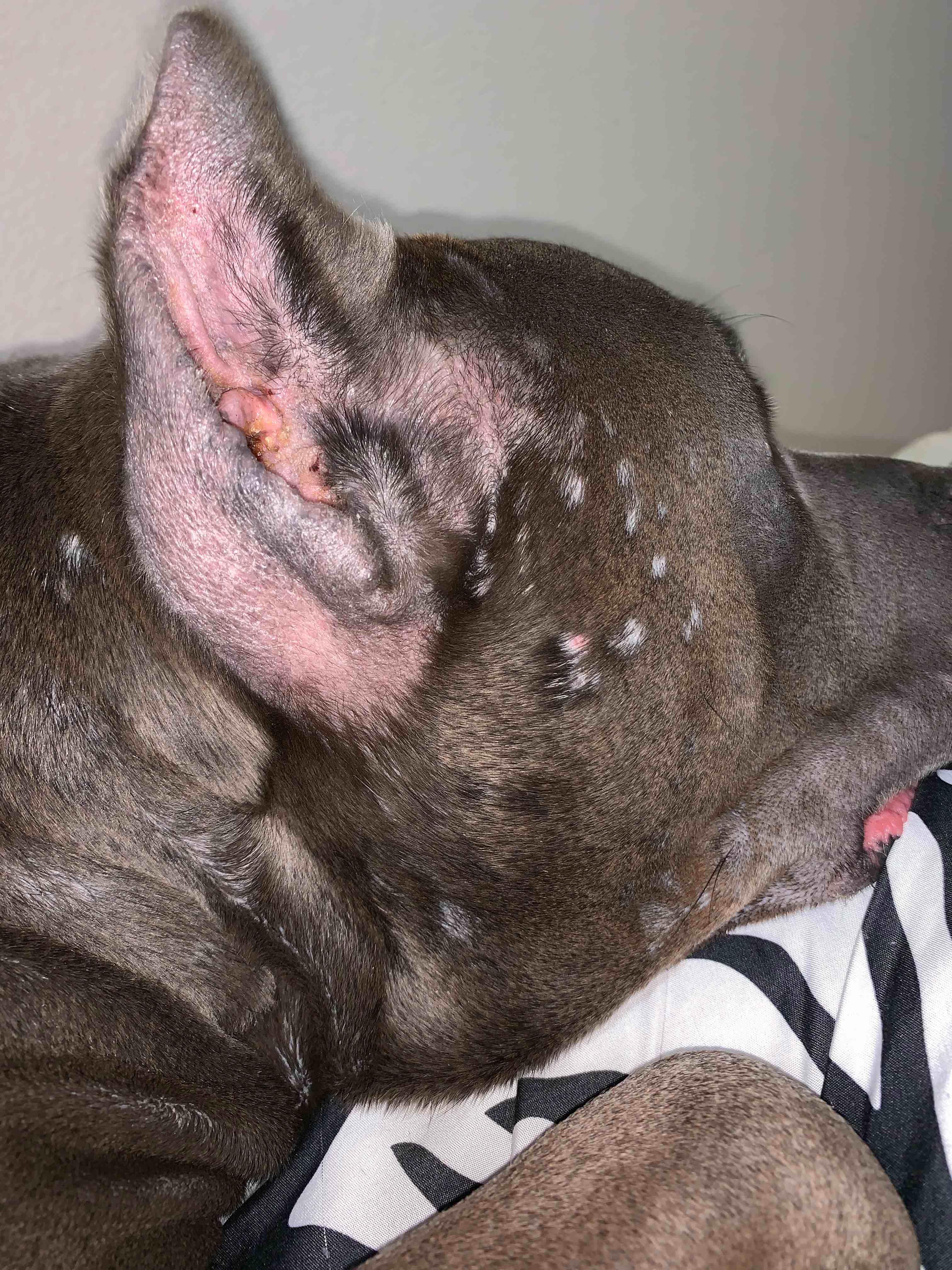 Question details sensitive content