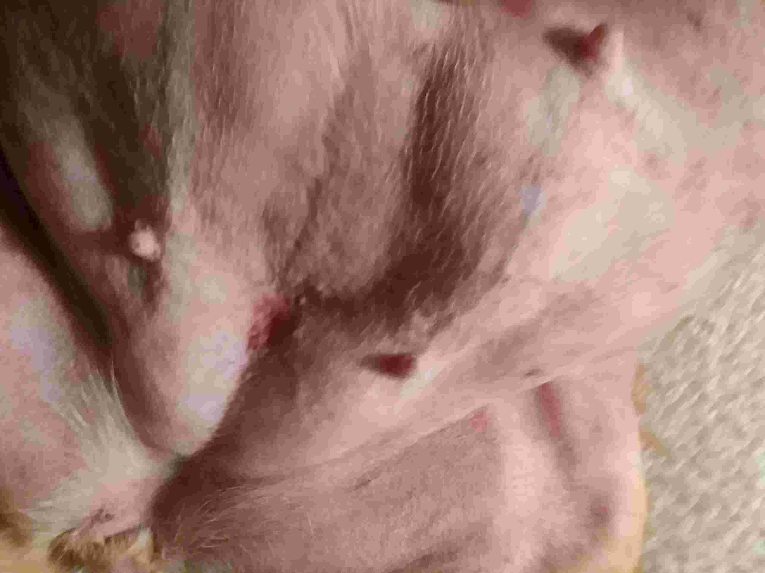 Question details sensitive content