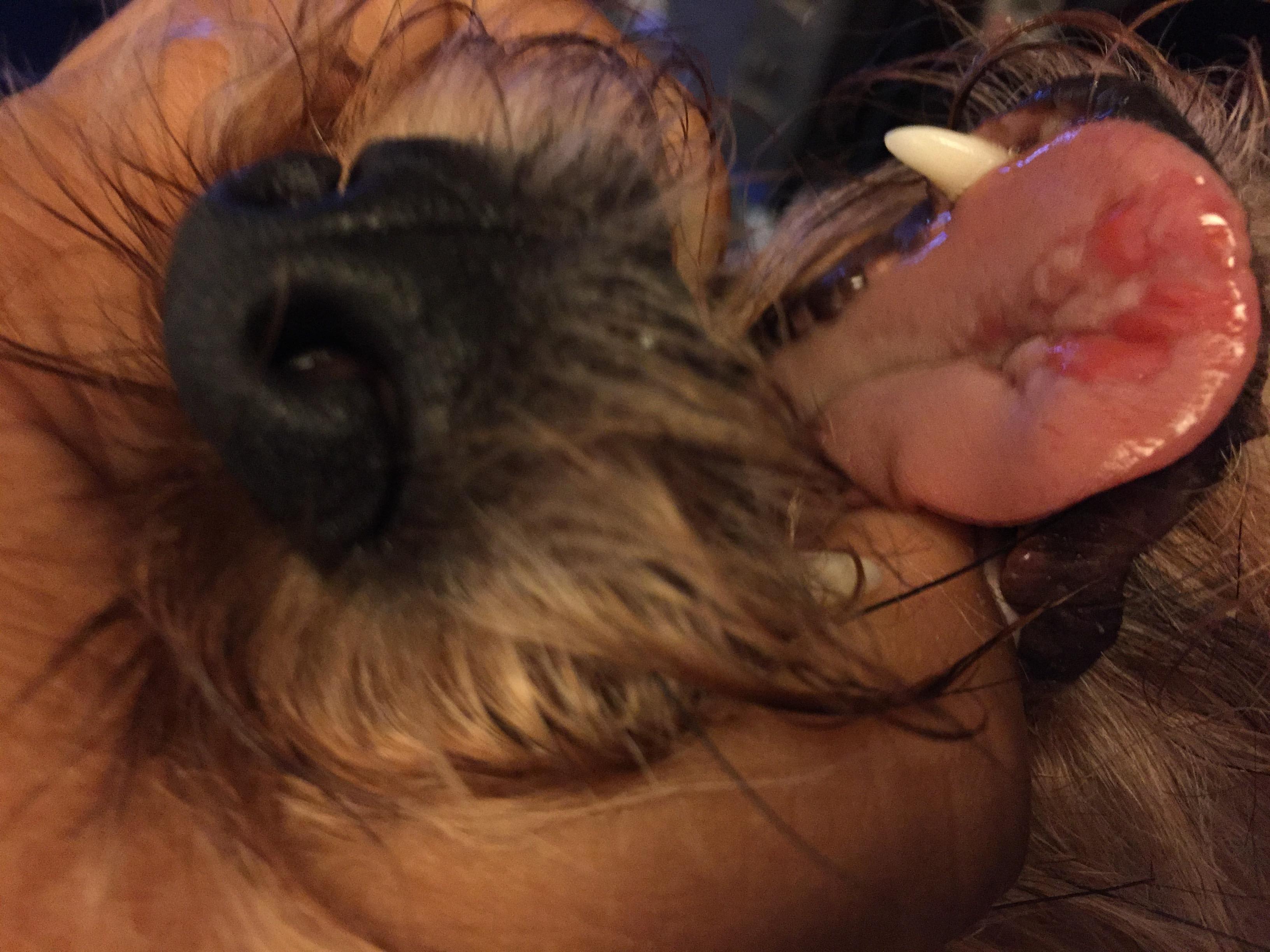 Question details sensitive content