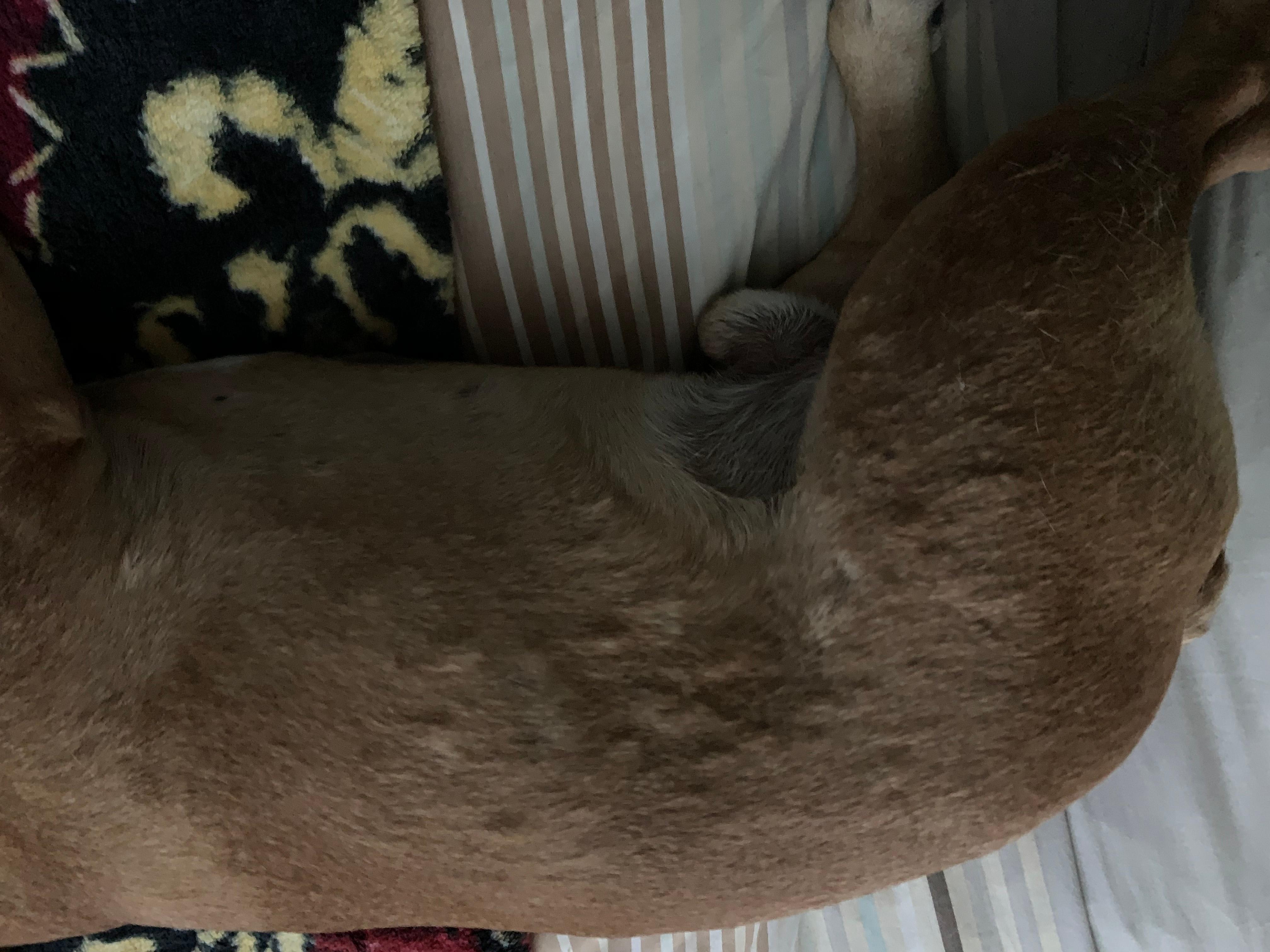 Question details sensitive content