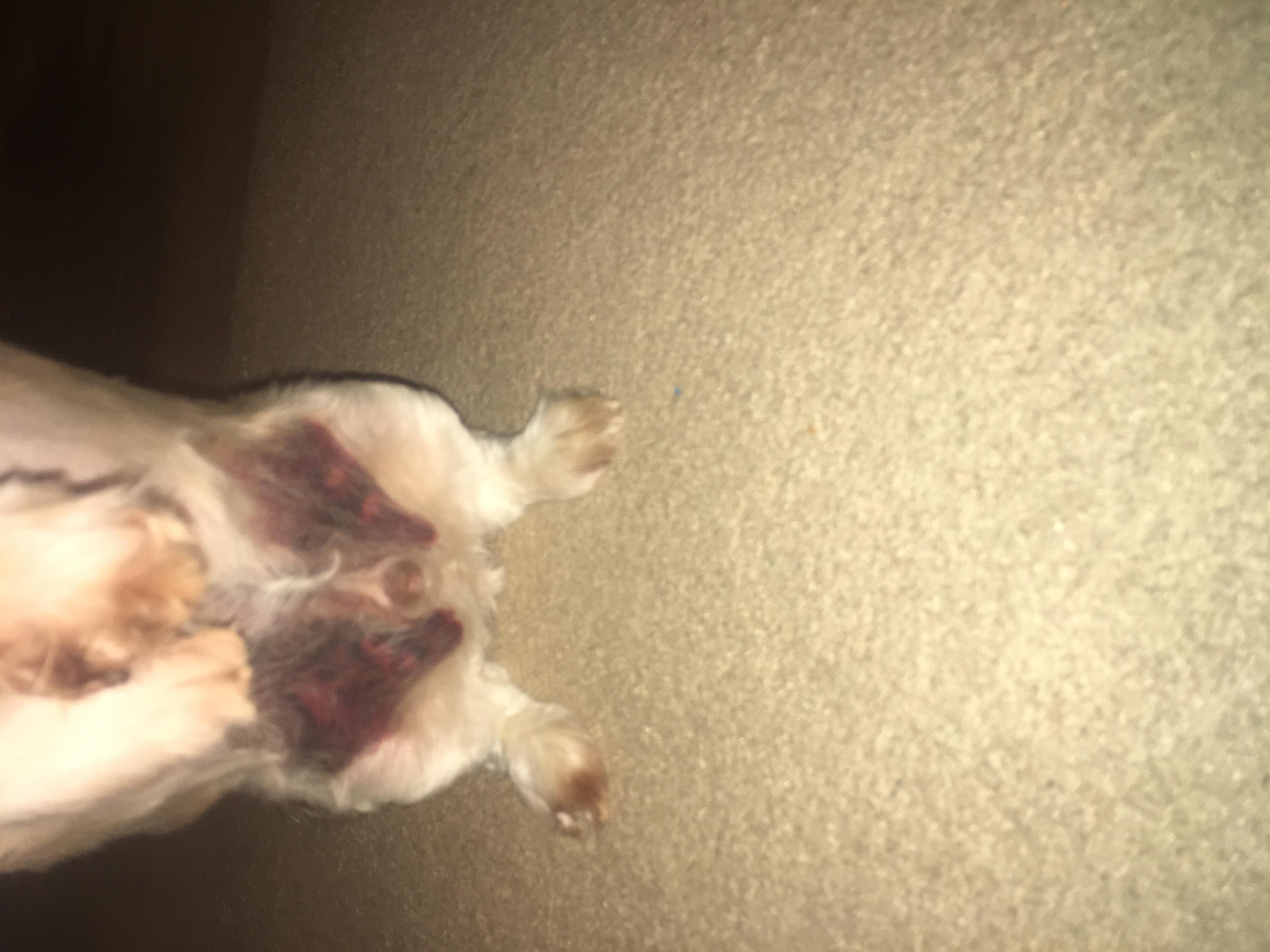 Question details sensitive content