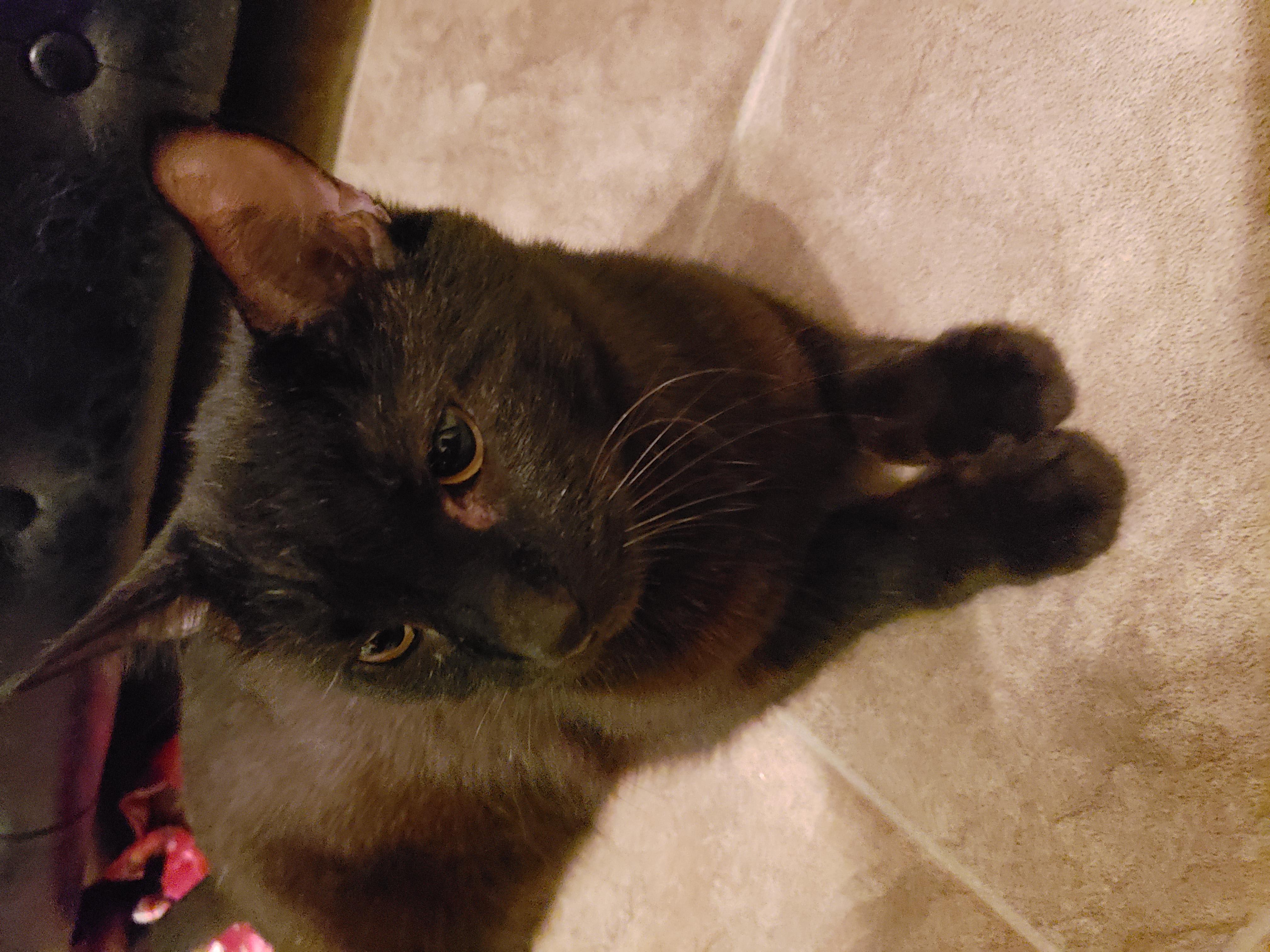 Question details sensitive content