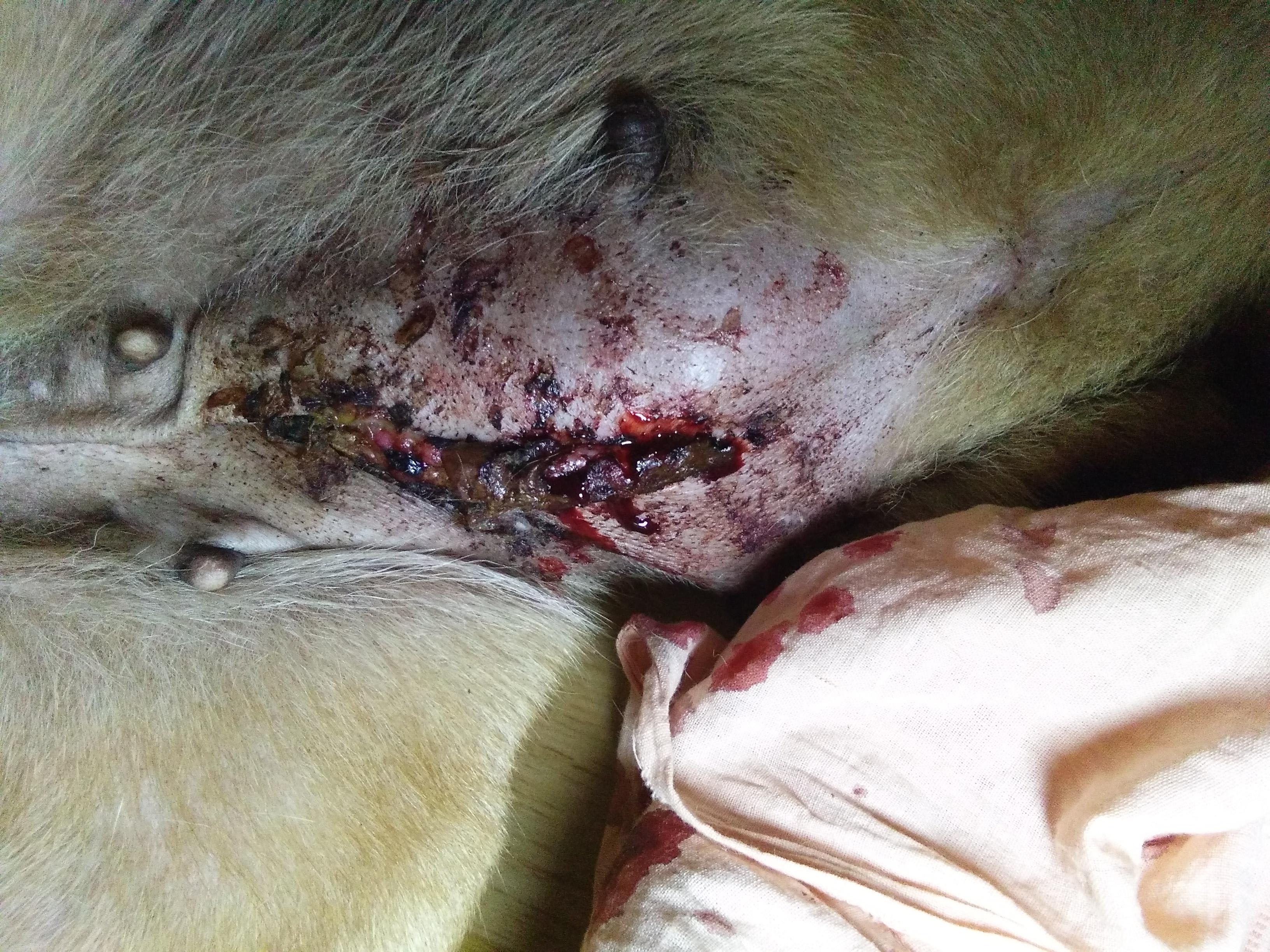 Question details sensitive content