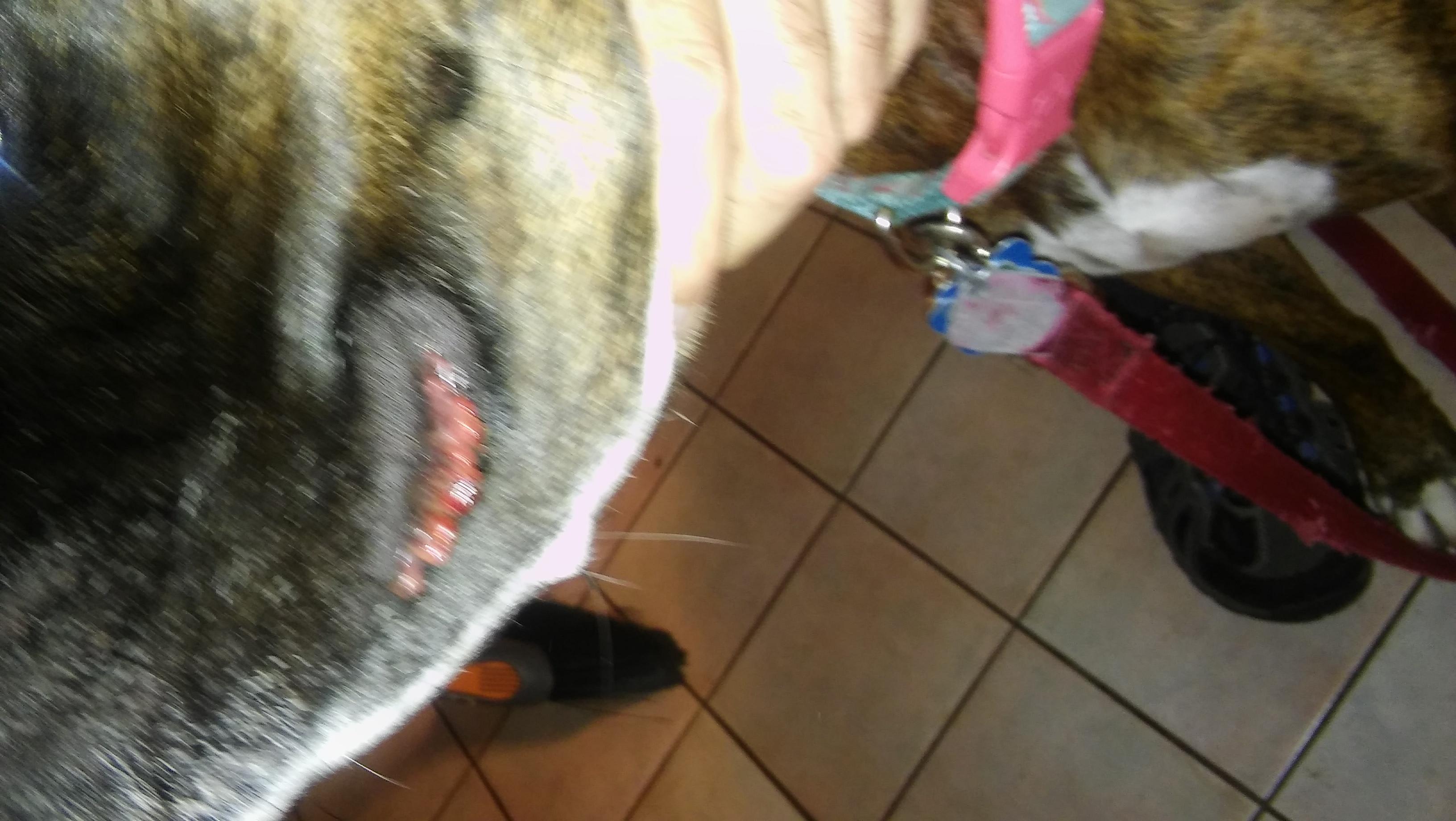 Question details sensitive content