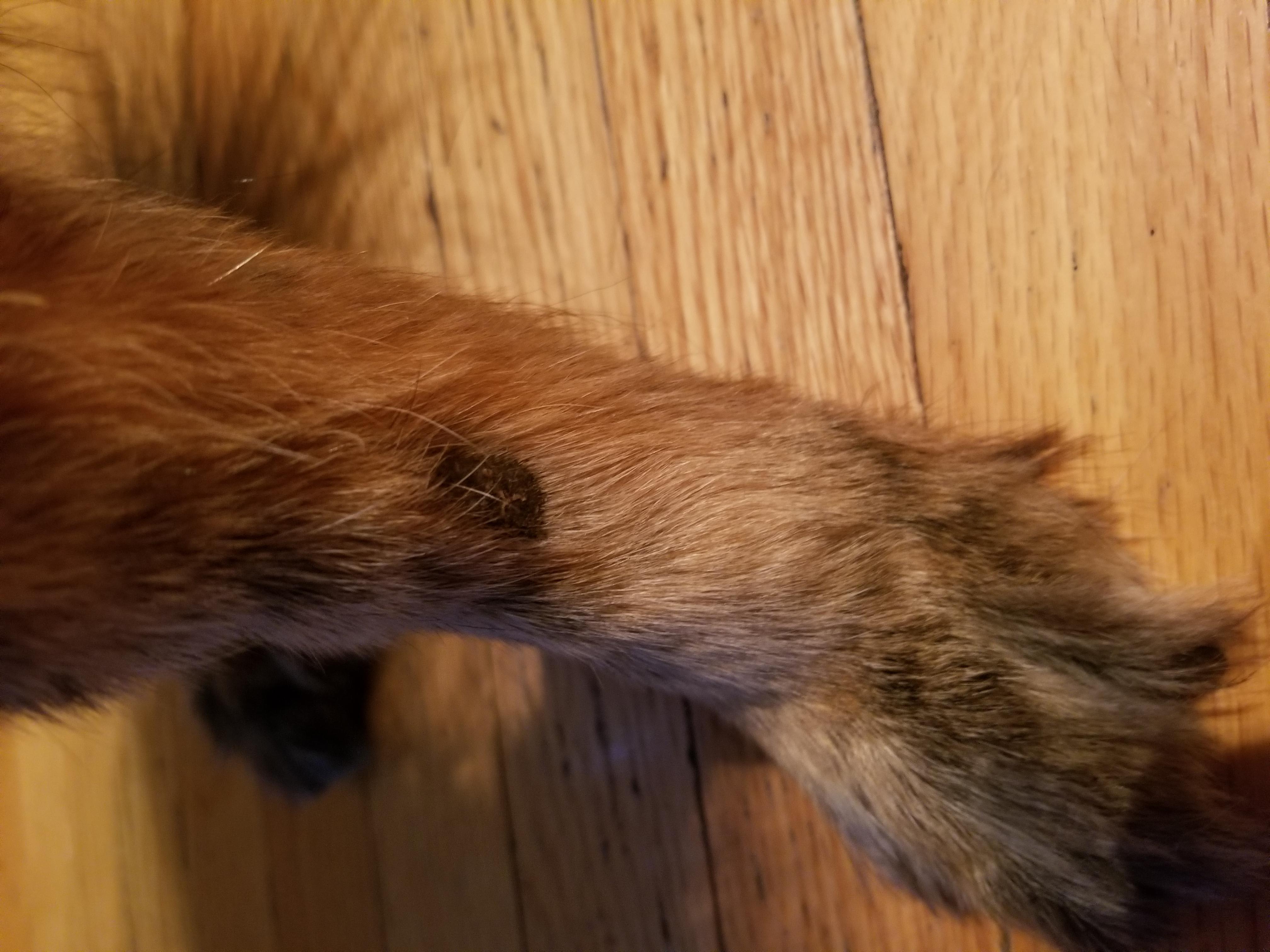 Question details sensitive content