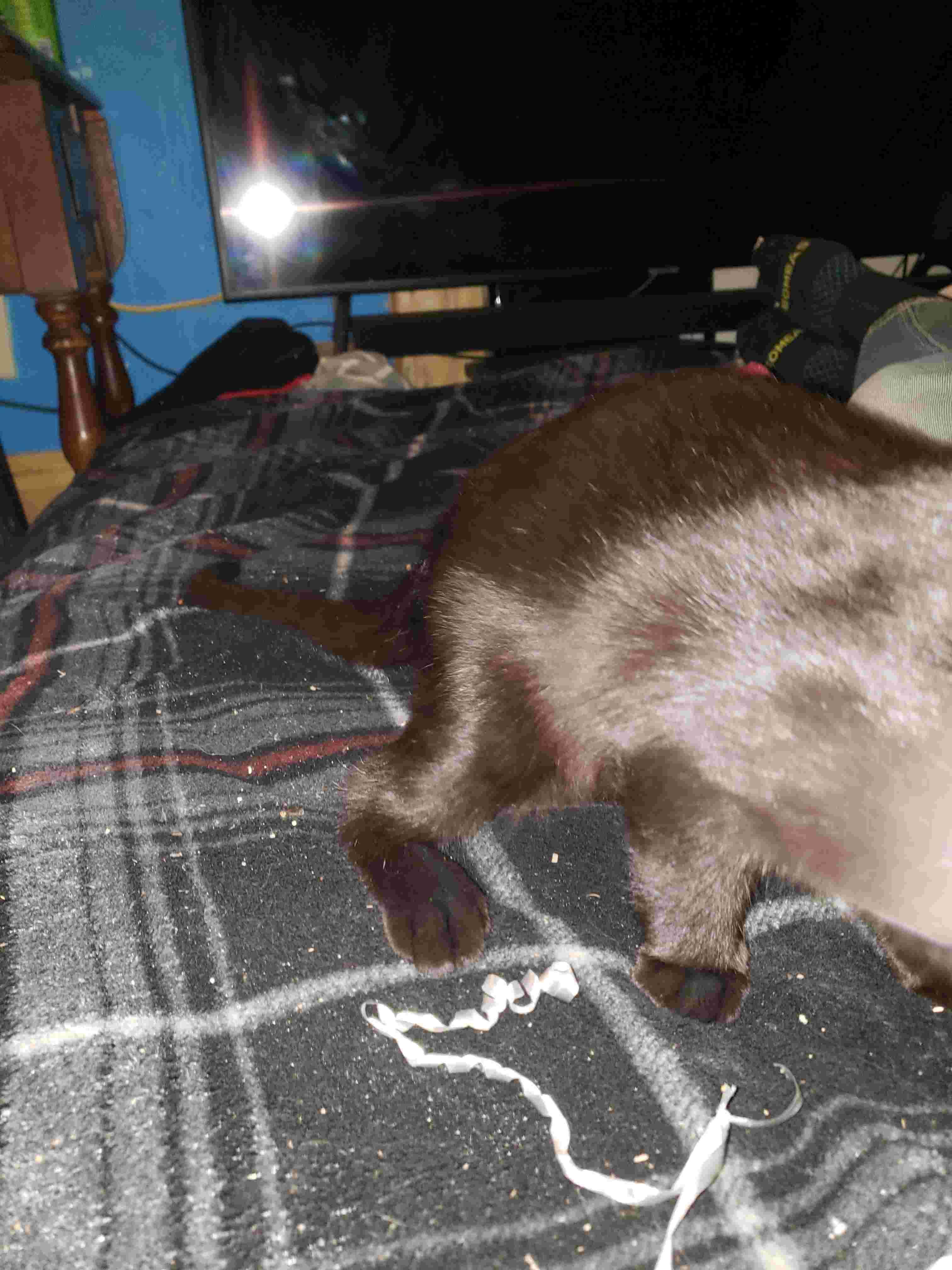 Question details sensitive content